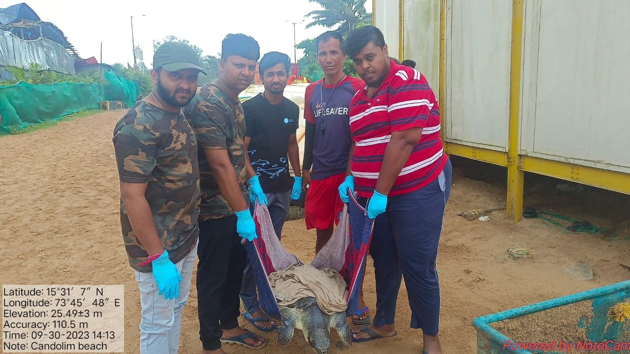 WhatsApp Image 2024-06-13 at 15.12.09.jpeg