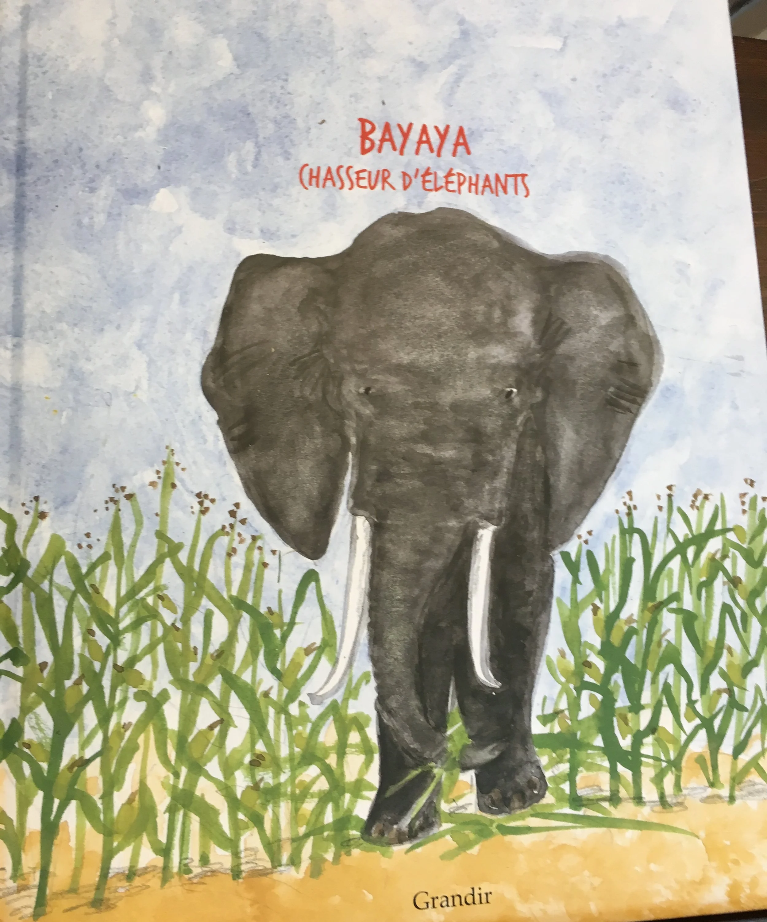 Bayaya, chasseurs d'éléphants