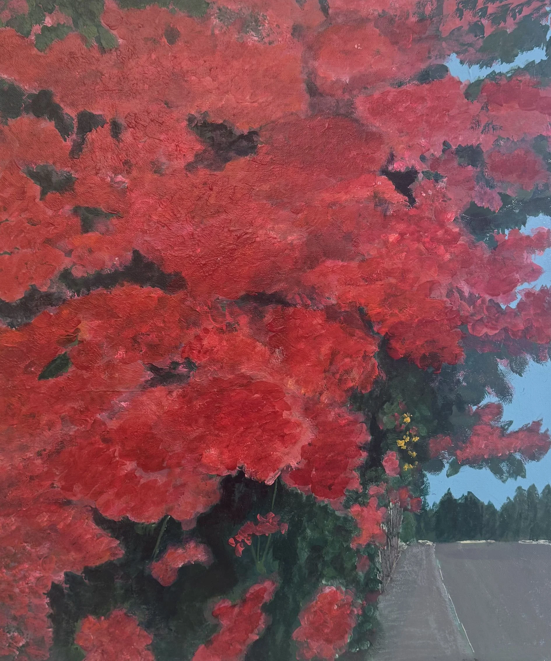 Blossoming From Fear - Bougainvillea.jpg