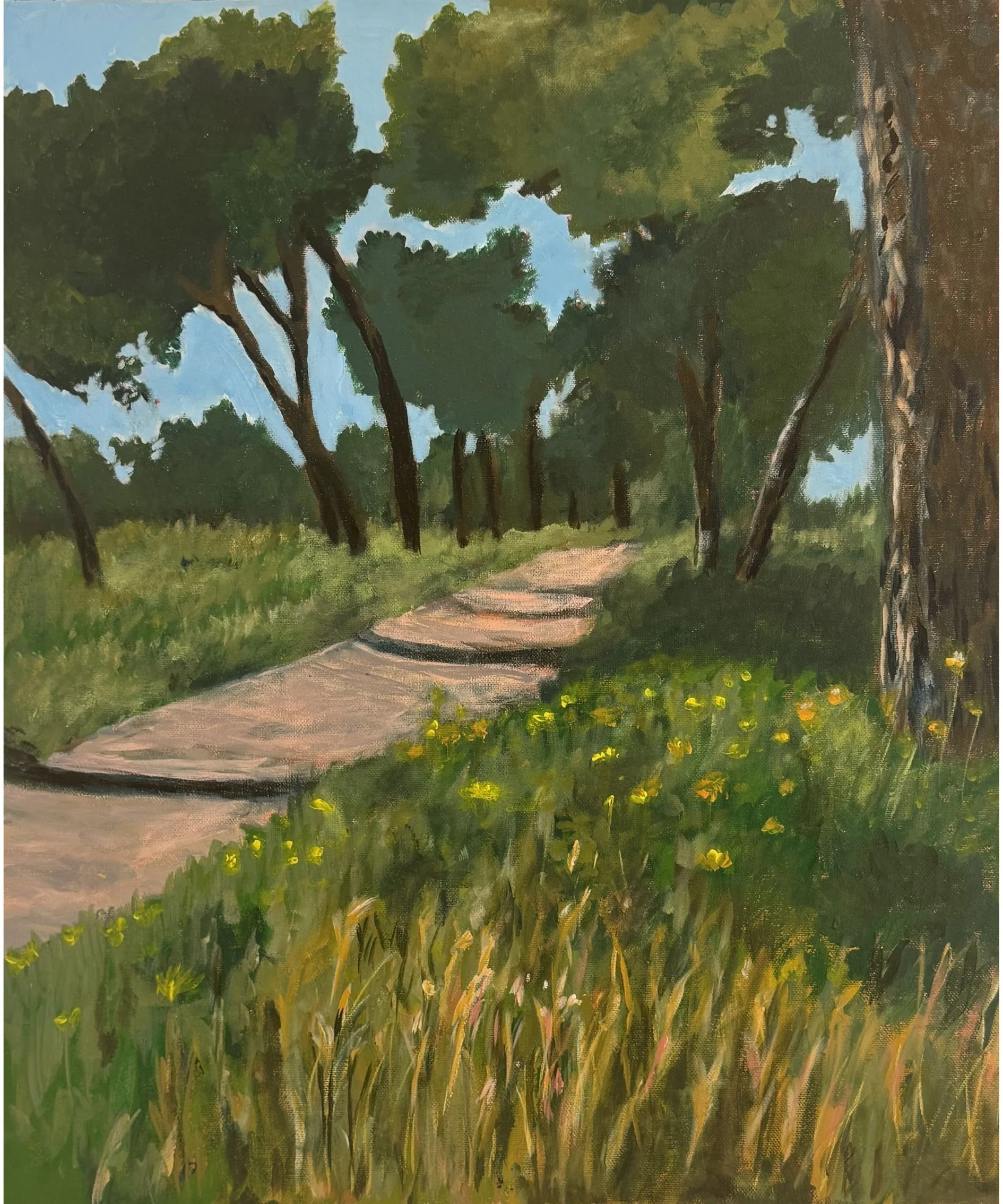 The Wadi Trail.jpg
