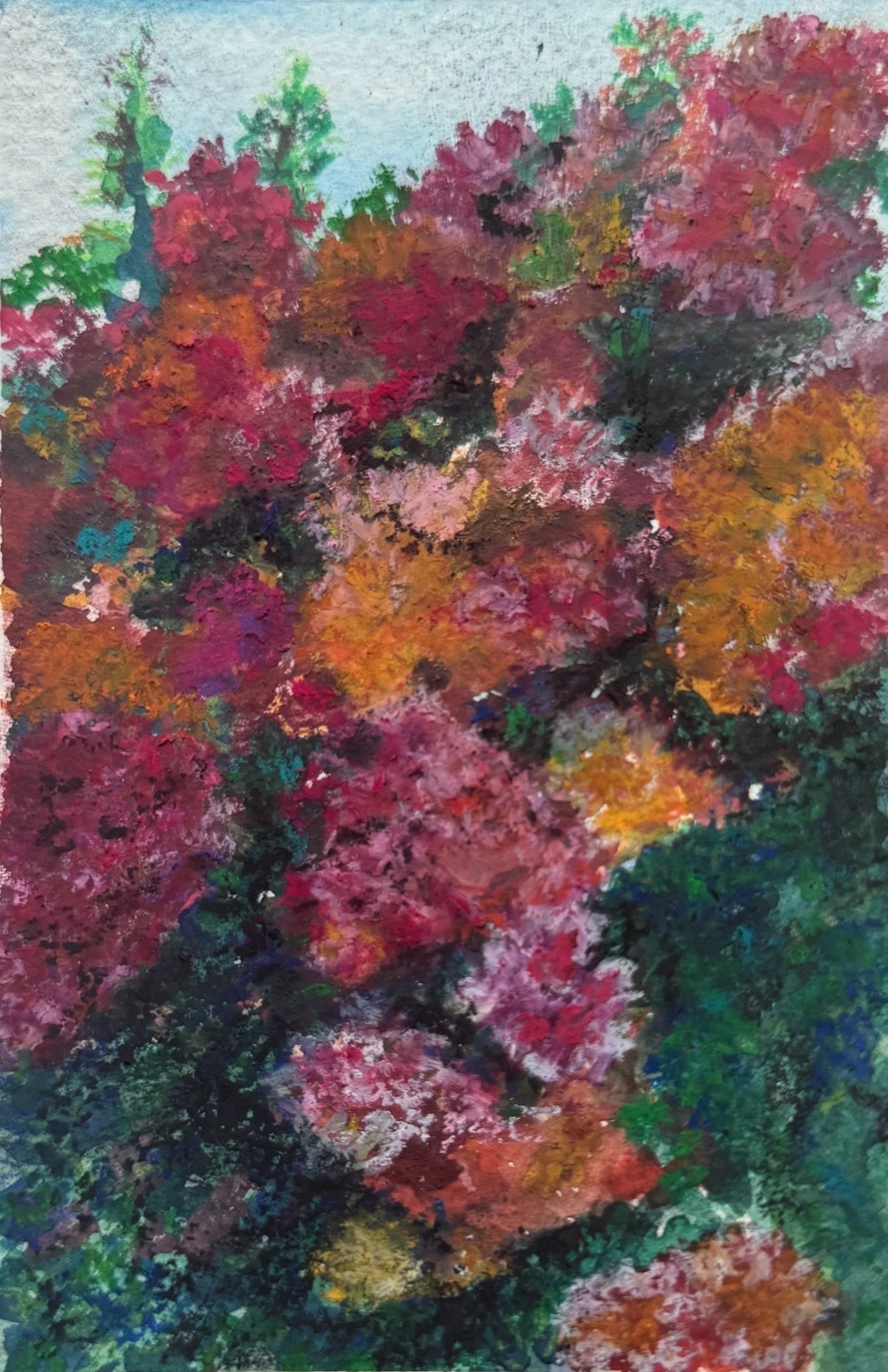 Everblooming 2.jpg
