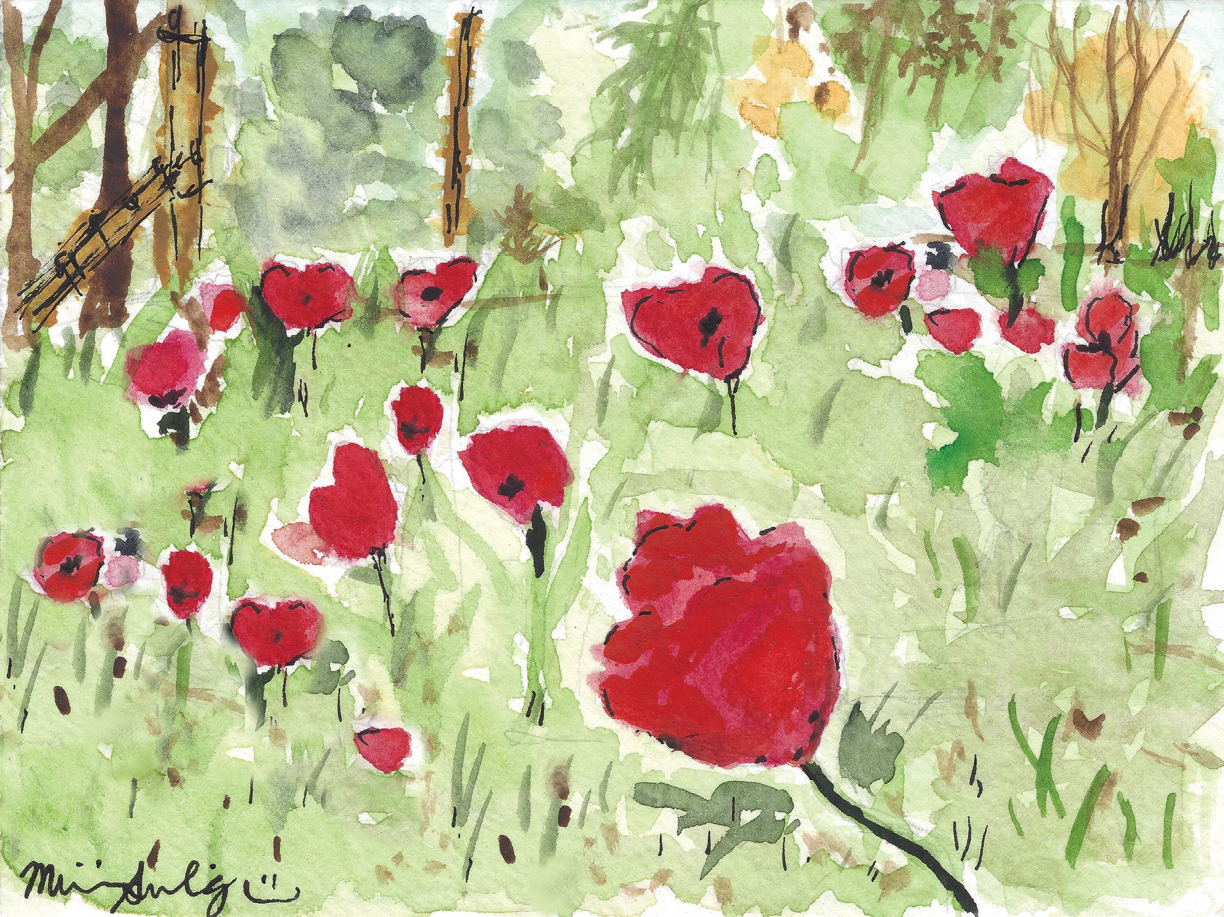 Beeri - Watercolor