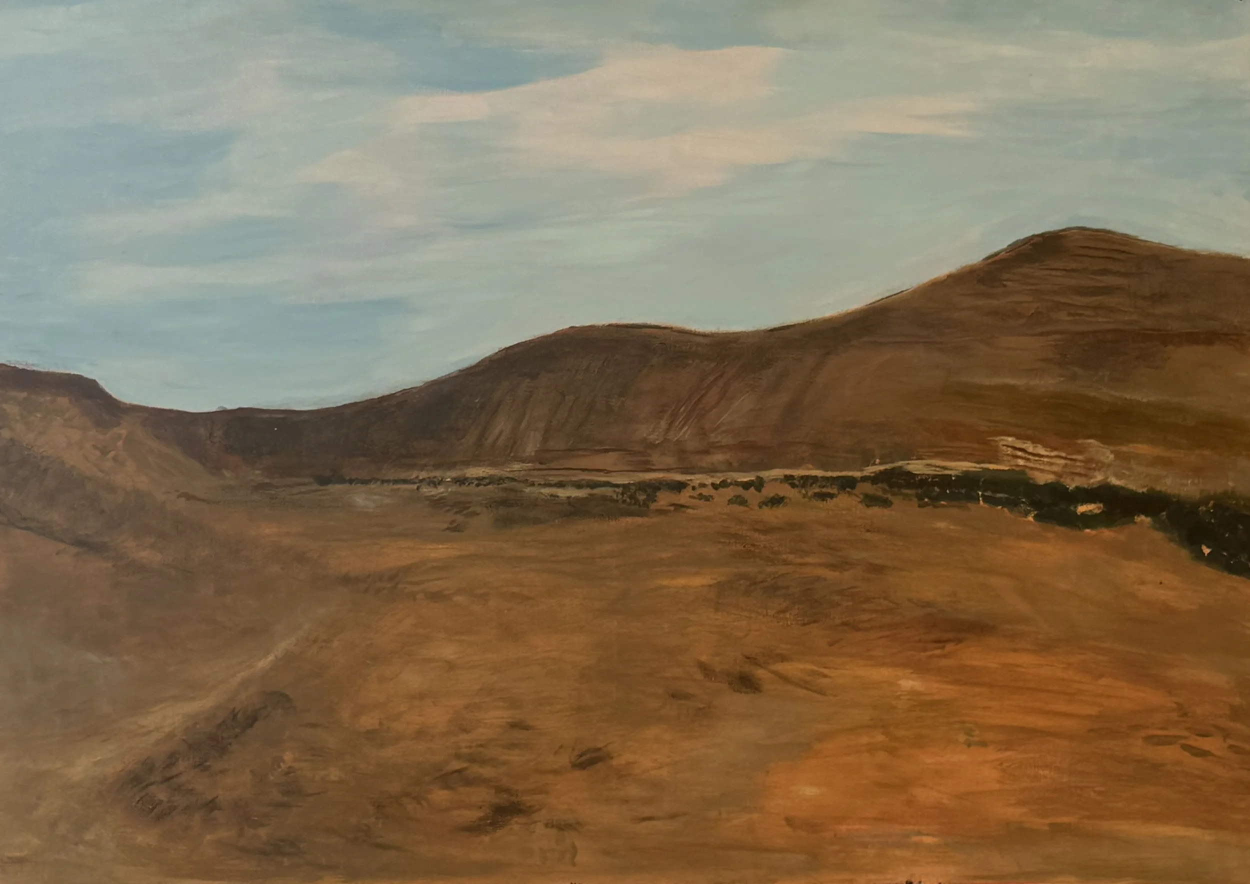 Desert Cleanse - Ramon Crater.jpg