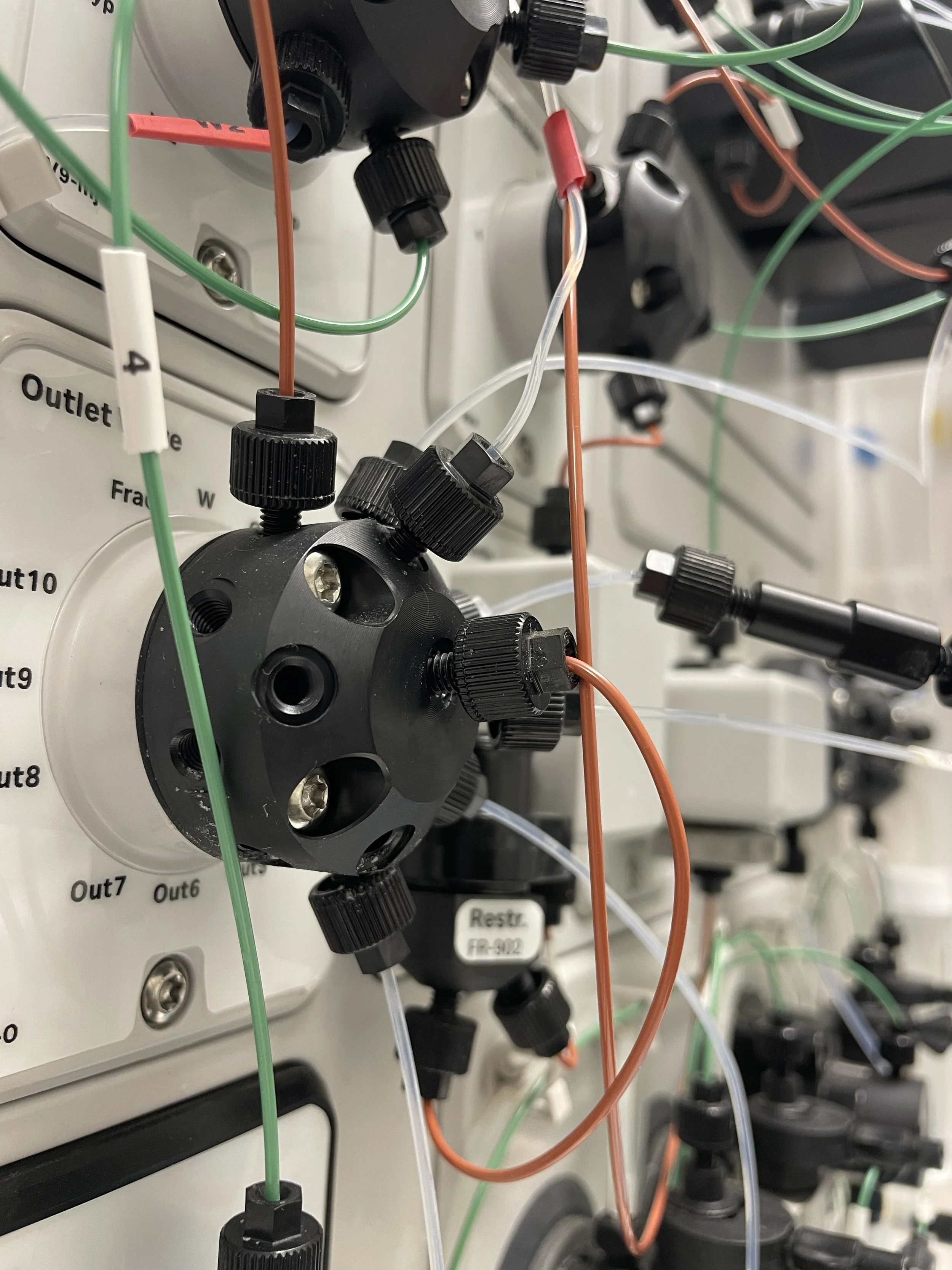 Expertise in the field IMG_6657.JPG