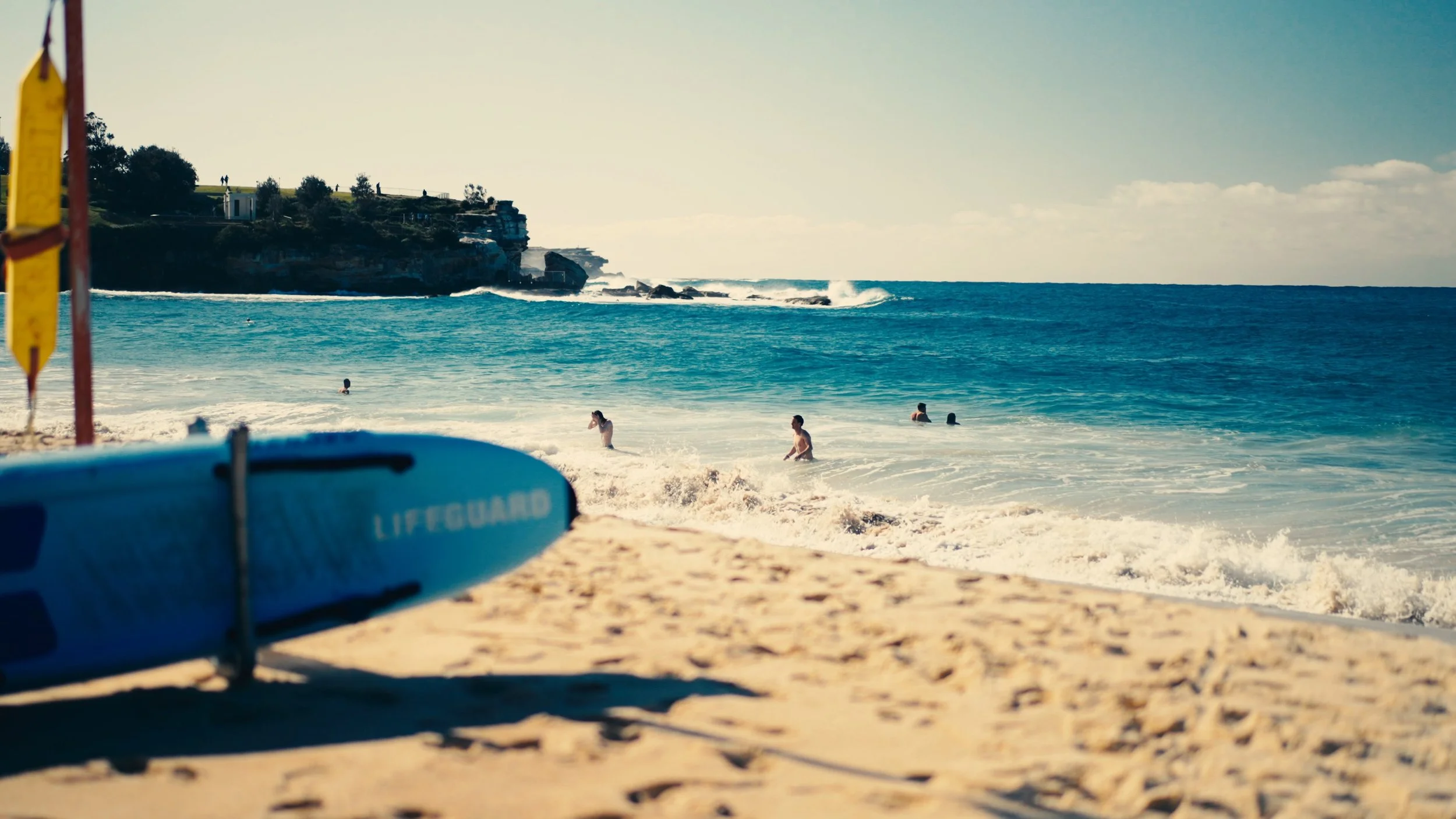 coogee swimmer.jpg