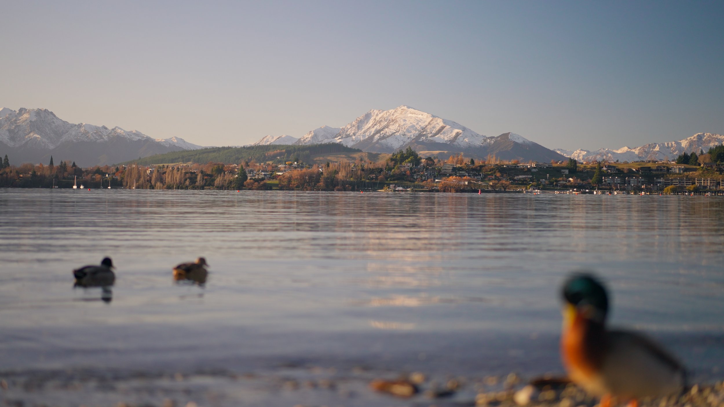 Wanaka_01_2.13.1.jpg