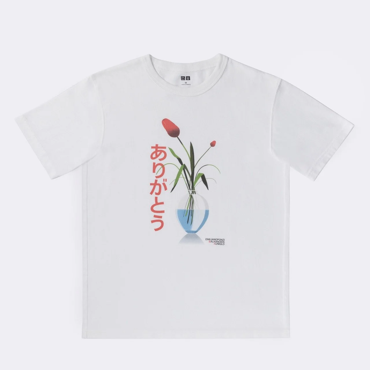 E.Ponzi_front Large.jpeg