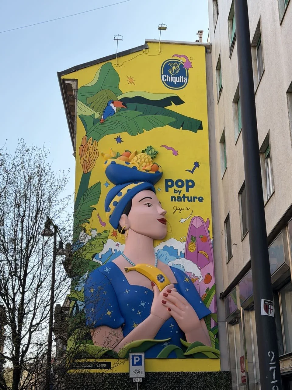 IMG_9556 2 Large.jpeg