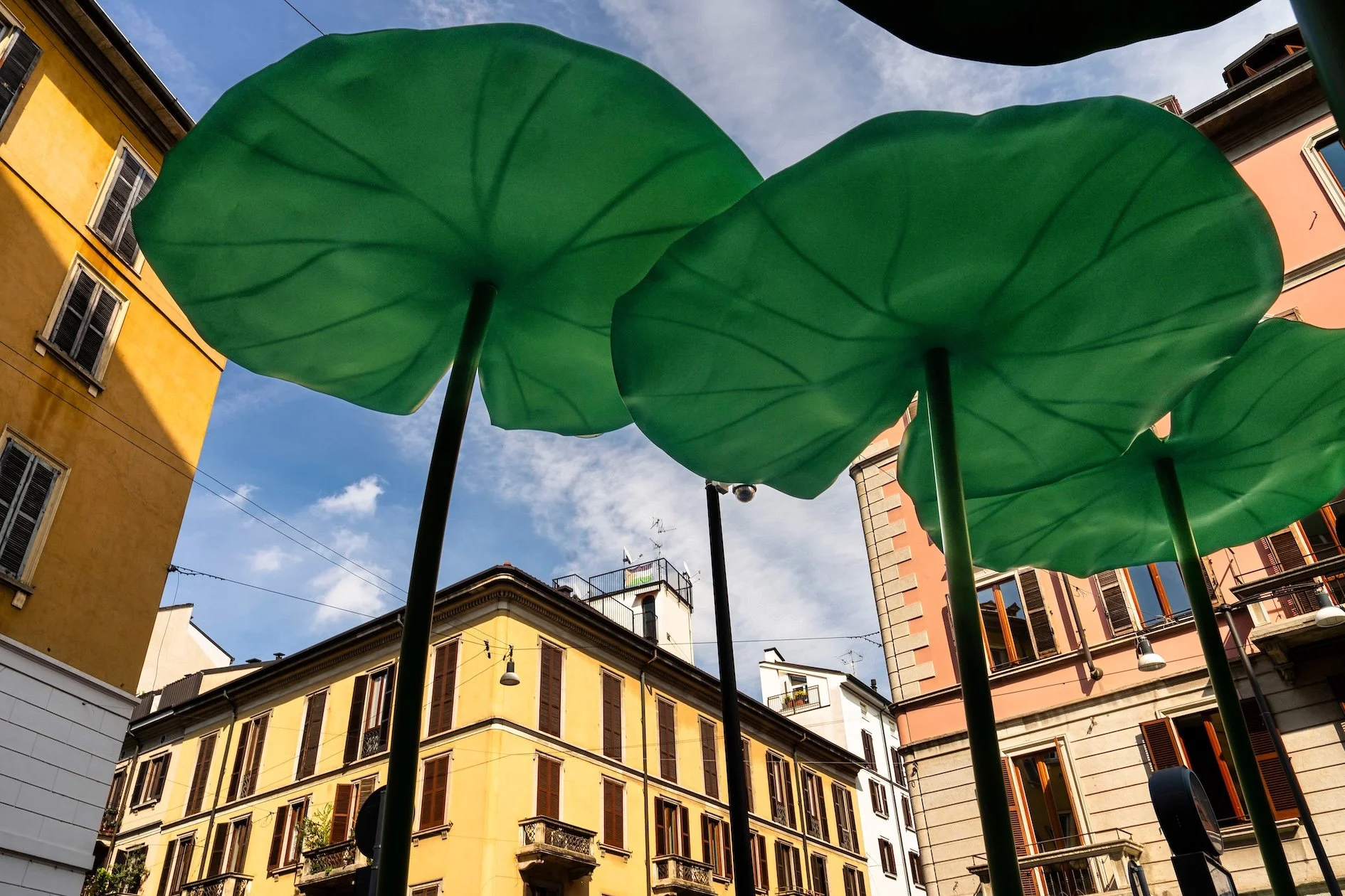 The_frog_is_back_-_Design_Week_Milano.jpeg