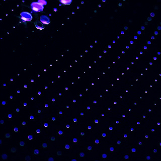 GIF_5.gif