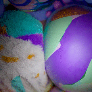 GIF_6.gif