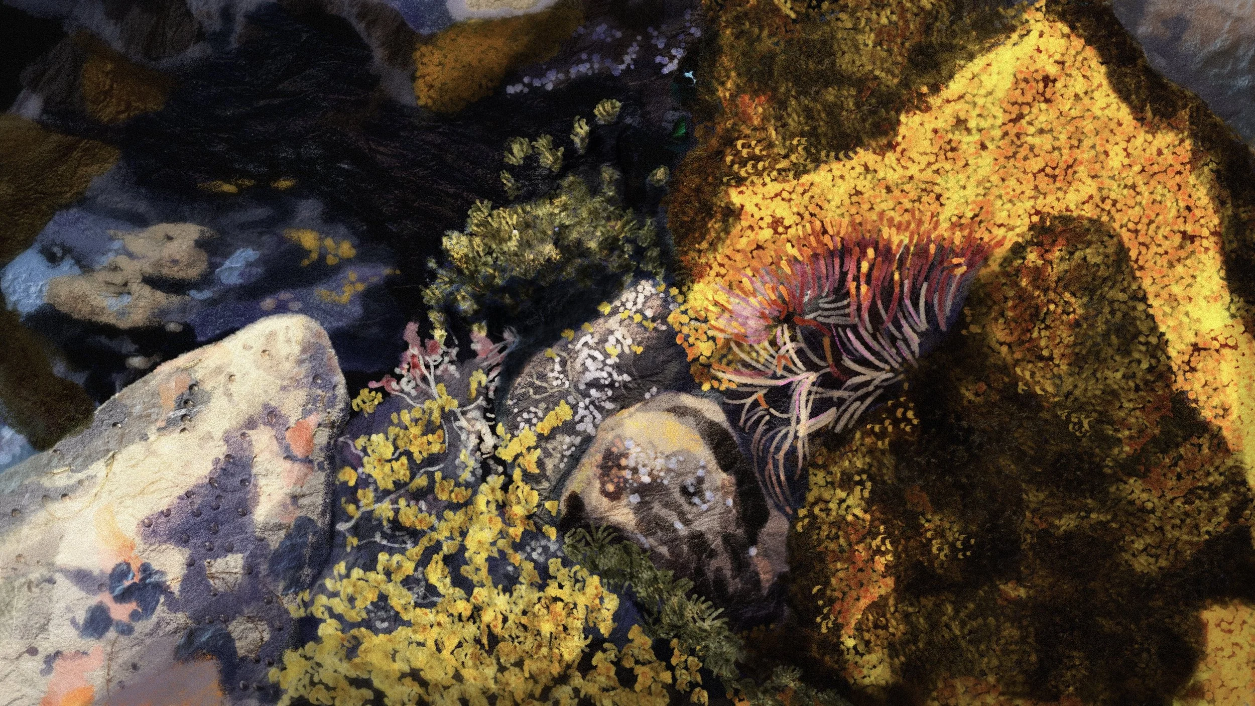 Alt - Closeup Moss.jpg