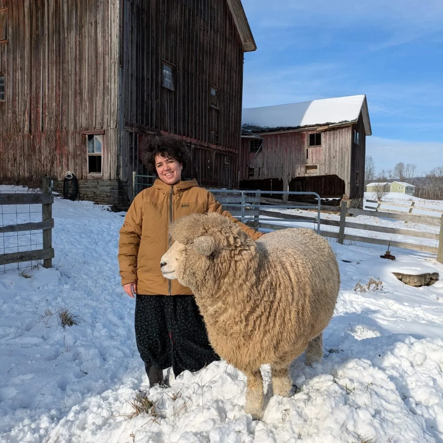 WhatsApp Image 2025-11-13 at 8.59.24 AM.jpeg