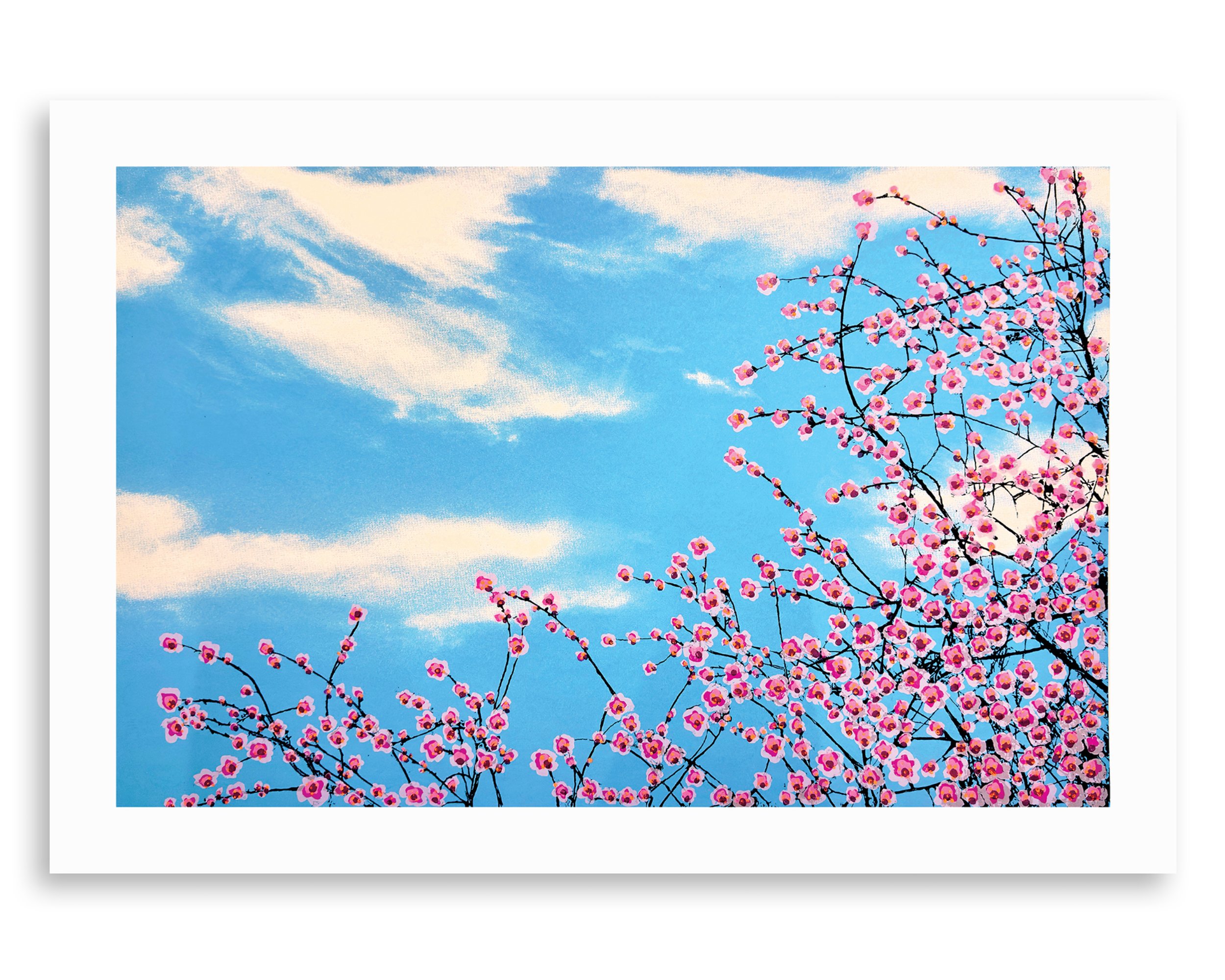 Rock Star Tree No.1  } Cherry Blossom  –  Blue Sky