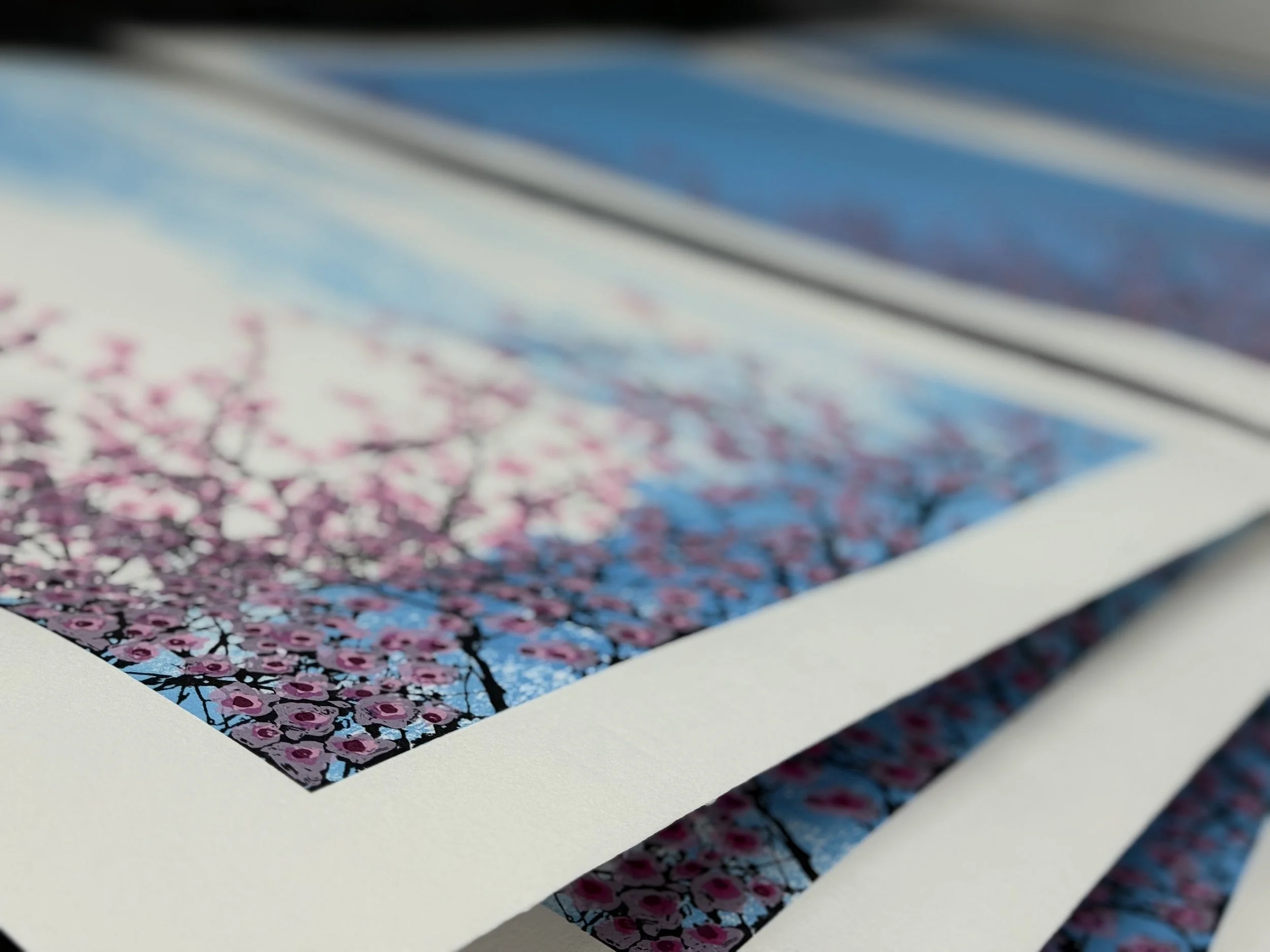 Rock Star Tree No.1  Cherry Blossom