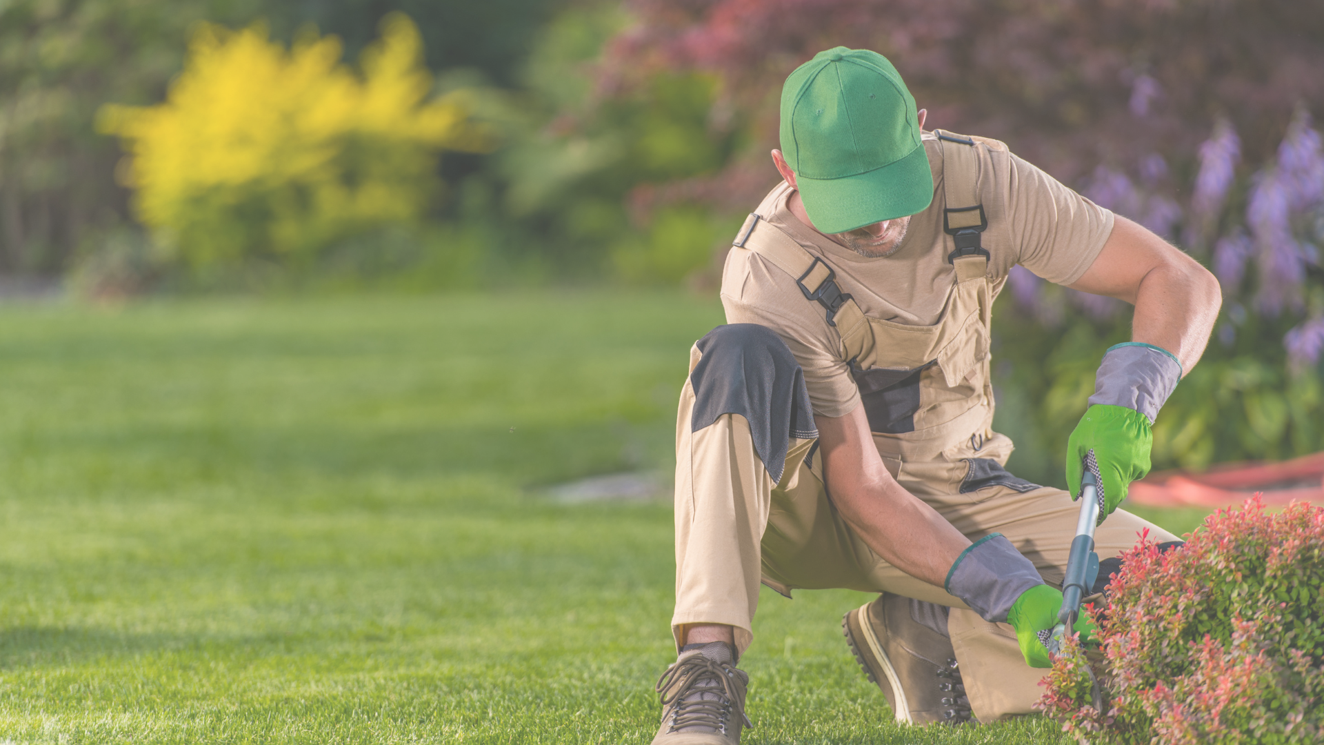 Gardener cutting plants