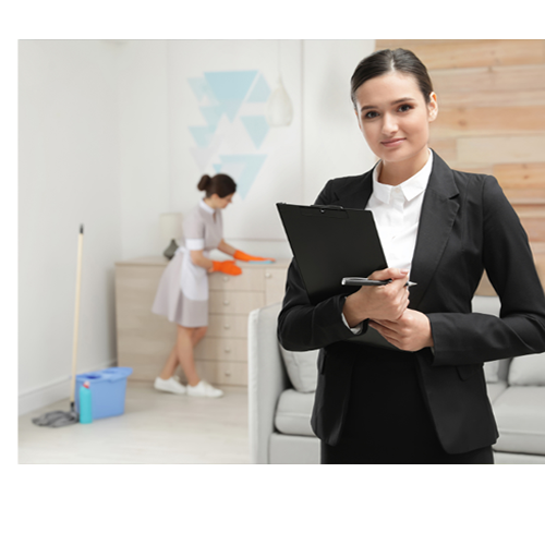 Executive House Cleaner