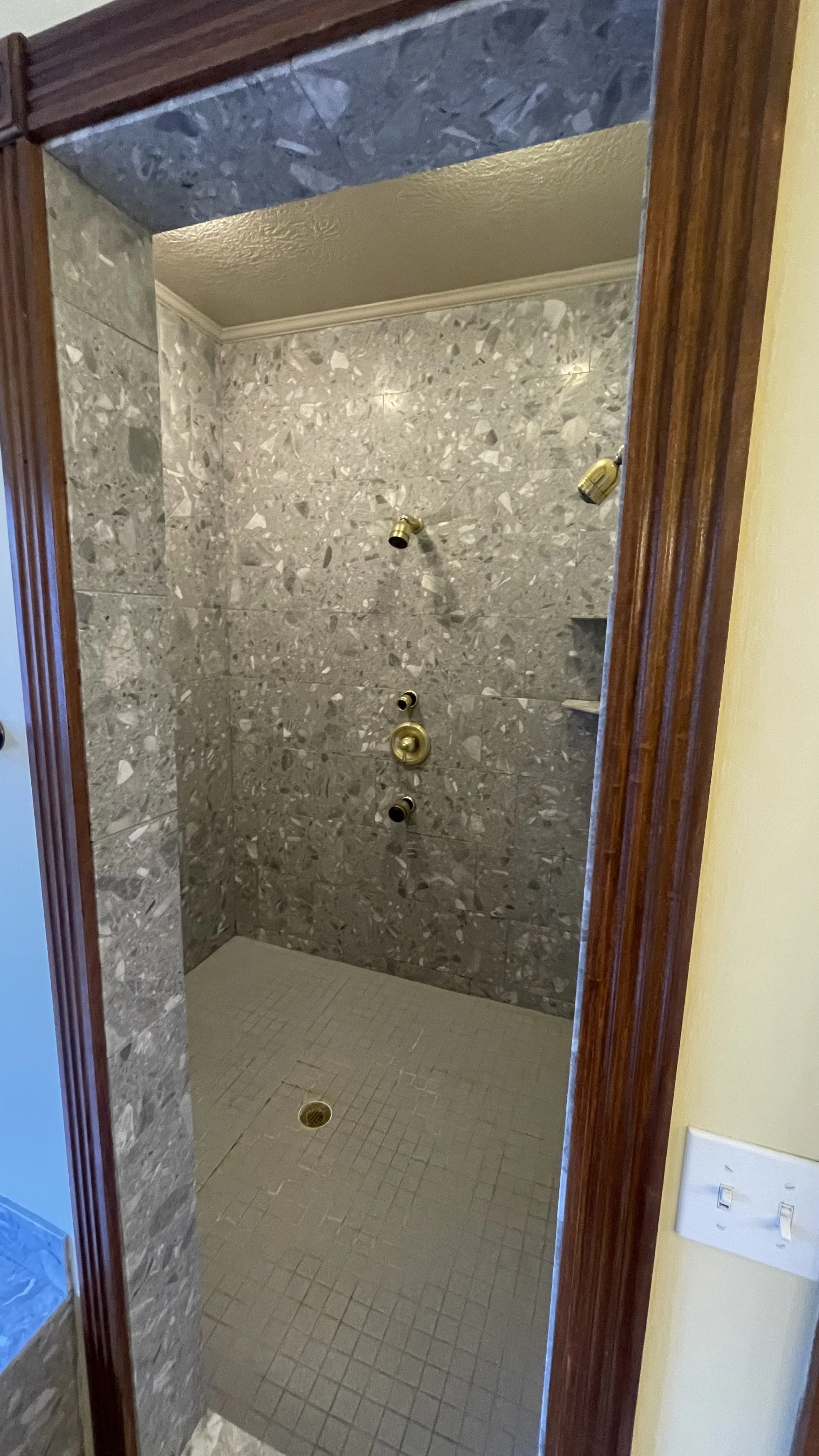 Walk in shower with gold accents.