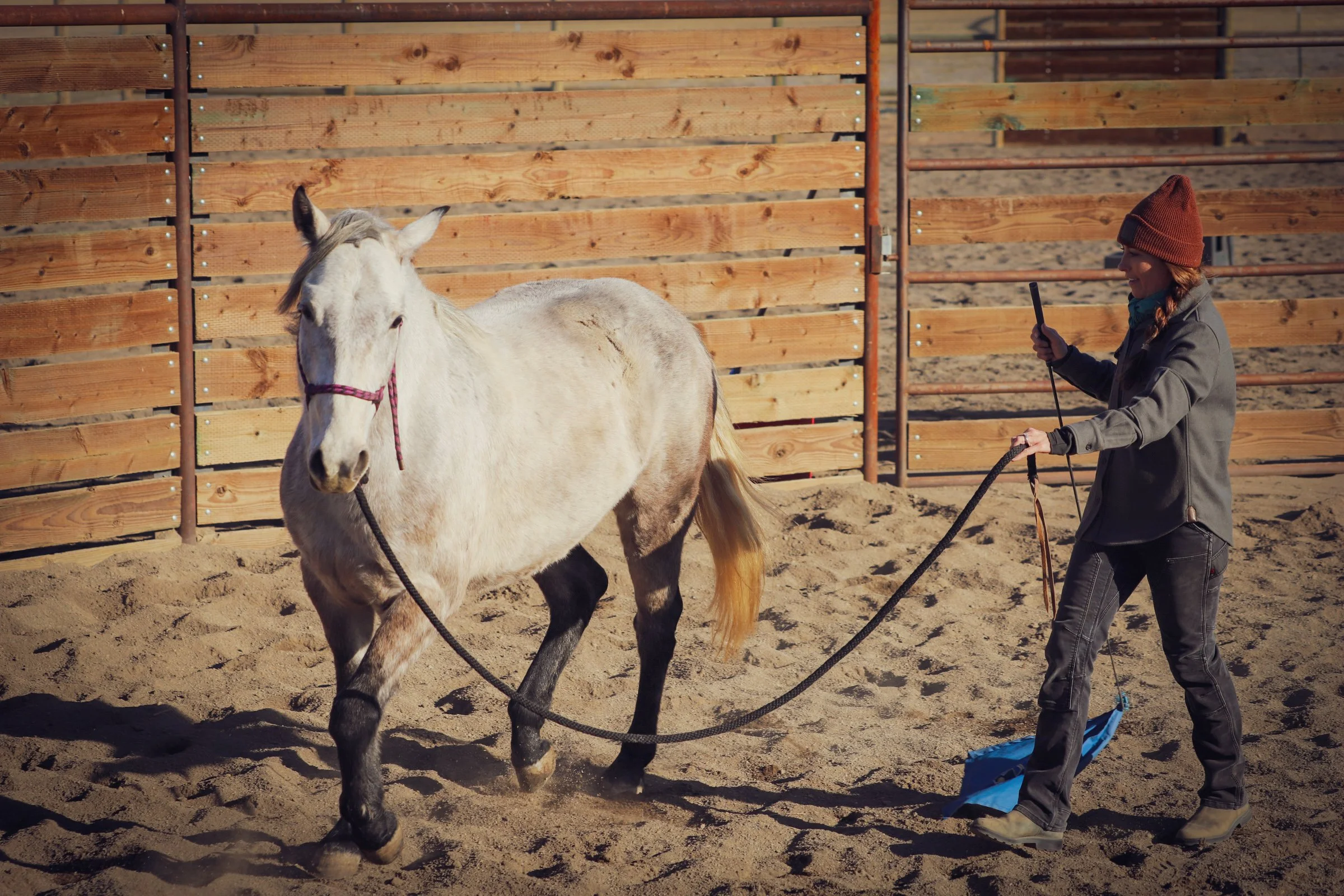 3 Day Problem Solving Clinic