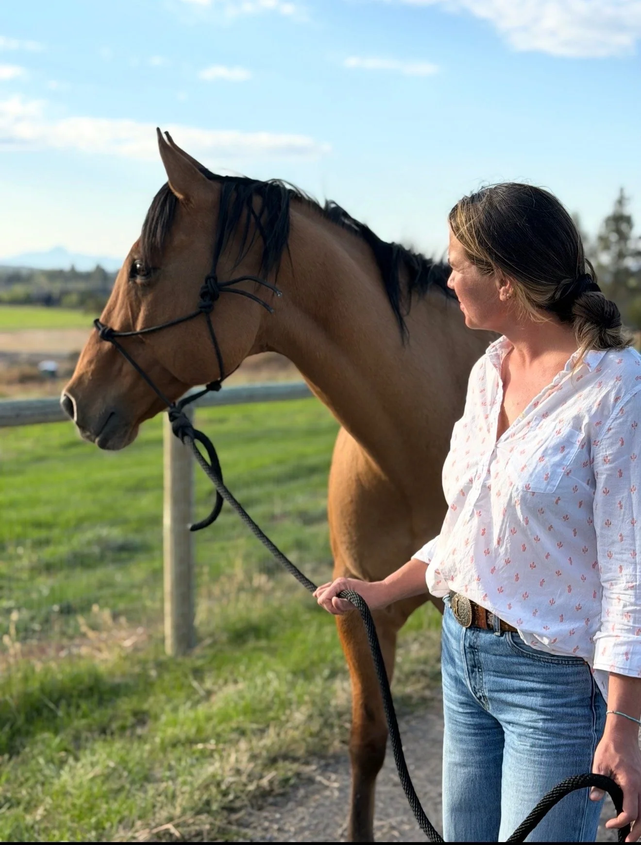 3 Day Horsemanship Clinic