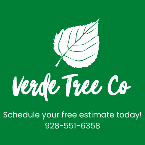 Why Hiring a Local Tree Service in the Verde Valley Matters