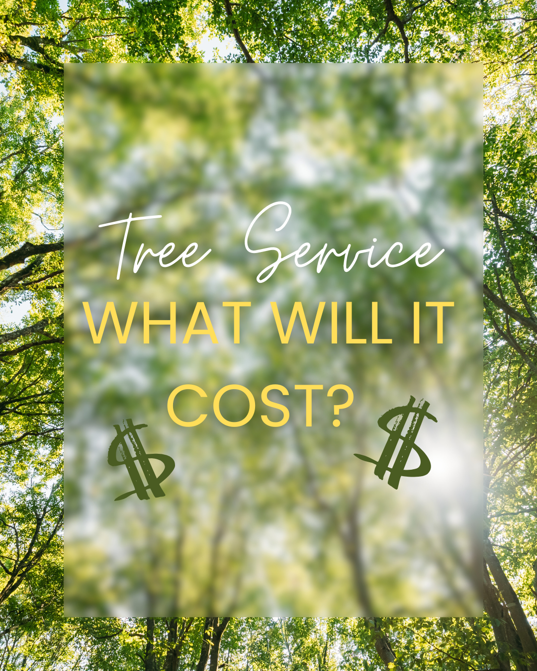 Tree Service Free Estimate
