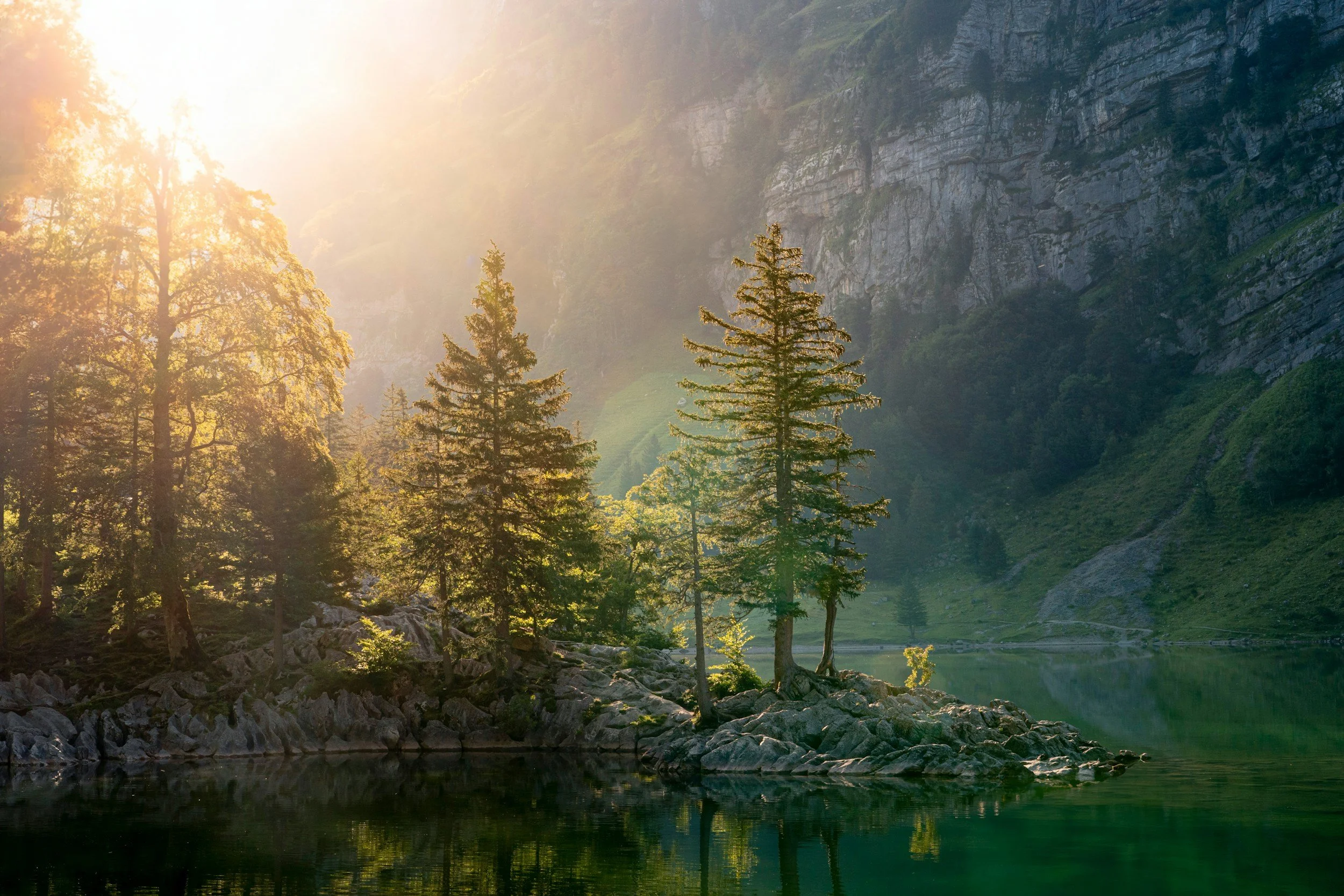 Sunlight filtering through trees over a mountain lake with rocks and evergreen trees in the foreground.