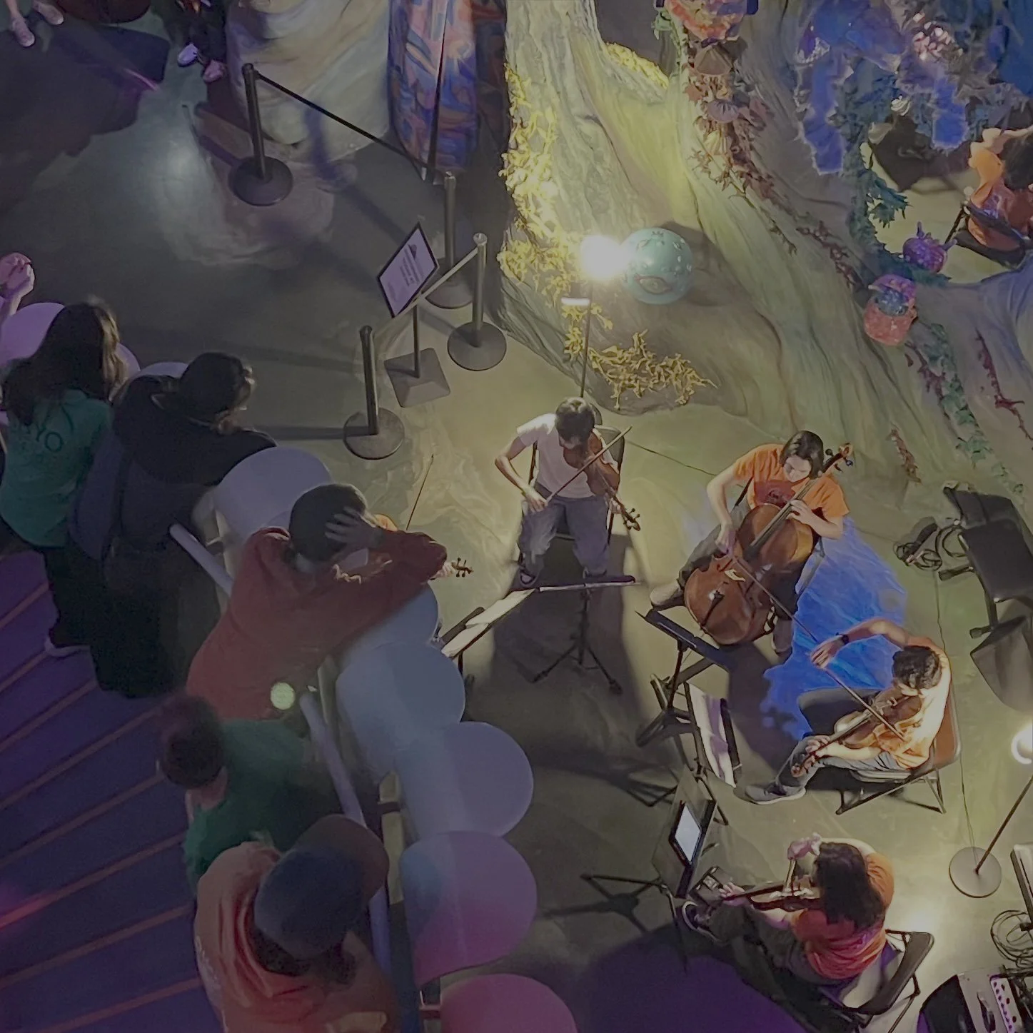 Chamber music in the community
