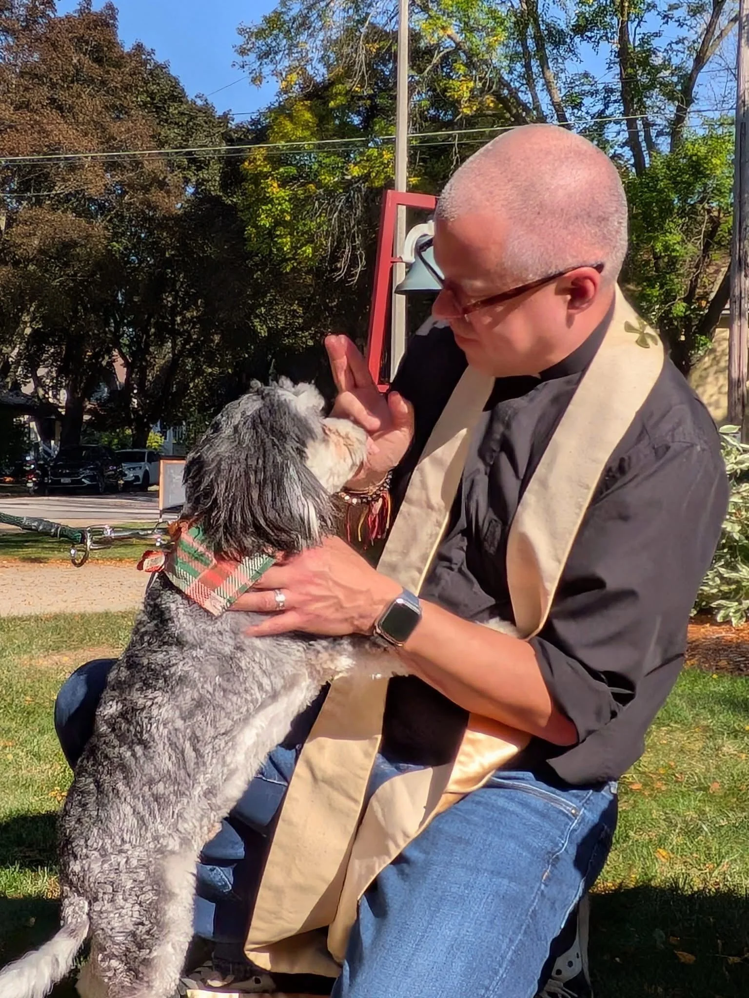 Pet4.jpg