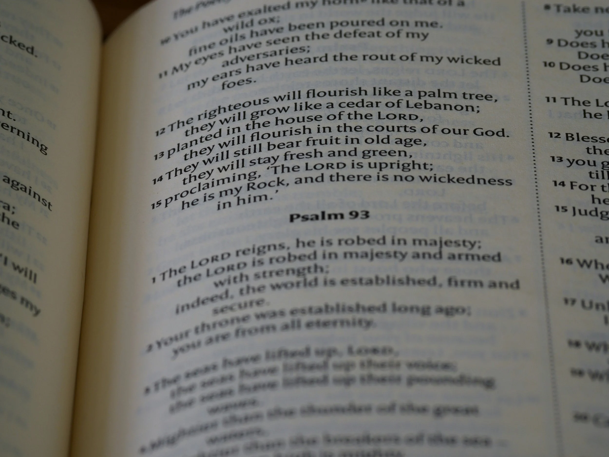 January 2026 Ordination