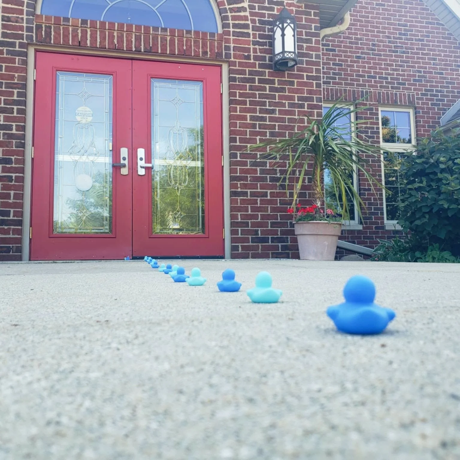 Copy of unnamed (51).jpg