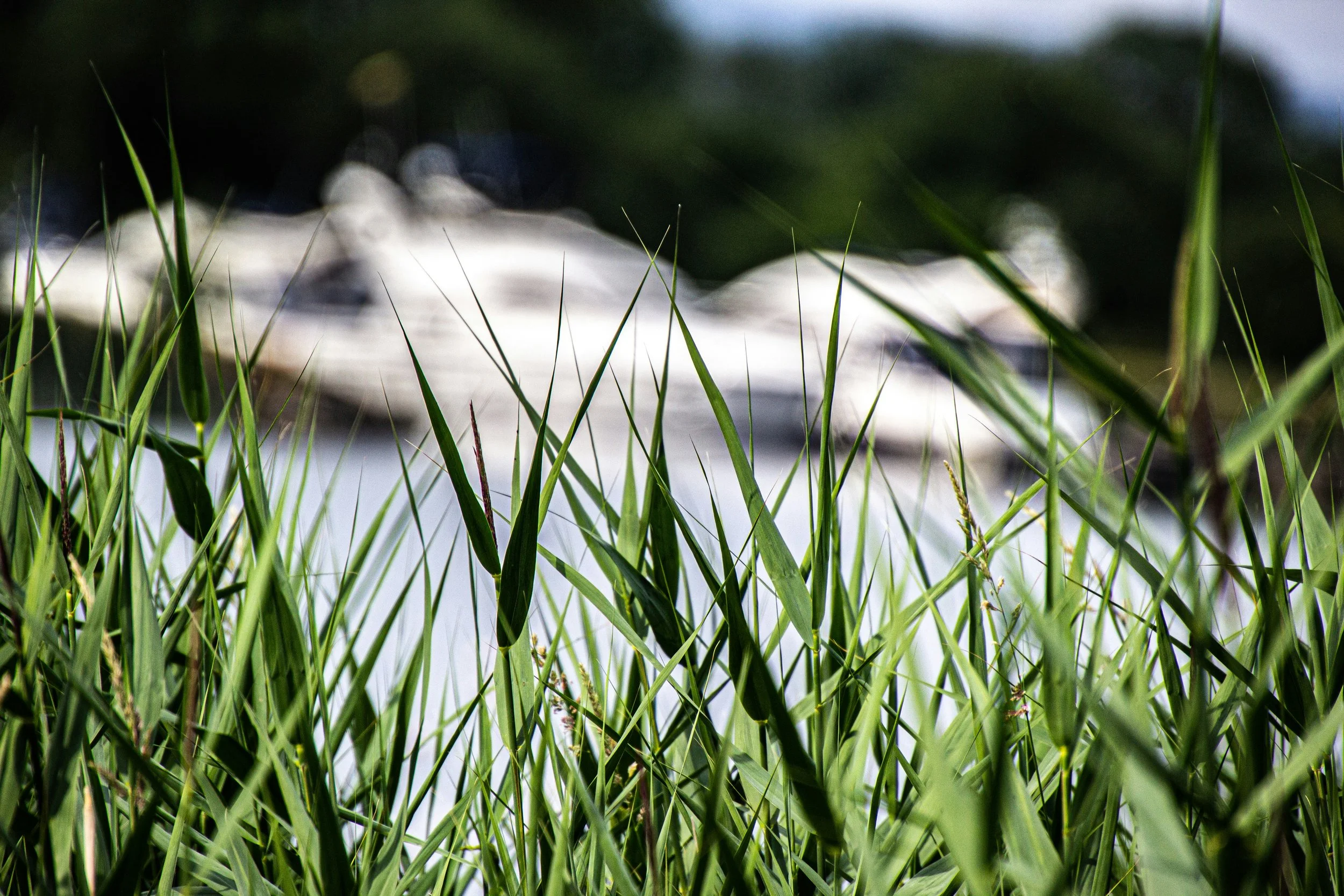 Kettle Moraine Region Summer Quarterly Clergy Lunch 