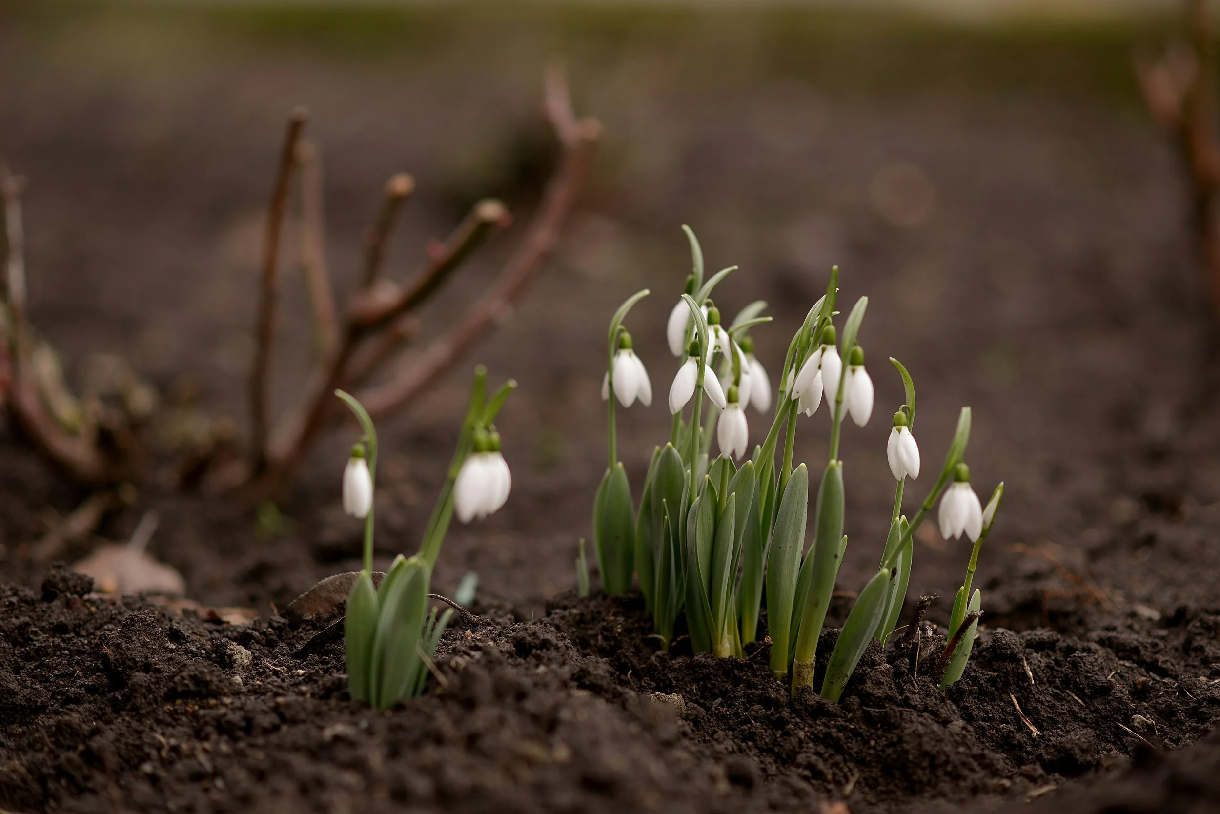 Kettle Moraine Region Spring Quarterly Clergy Lunch
