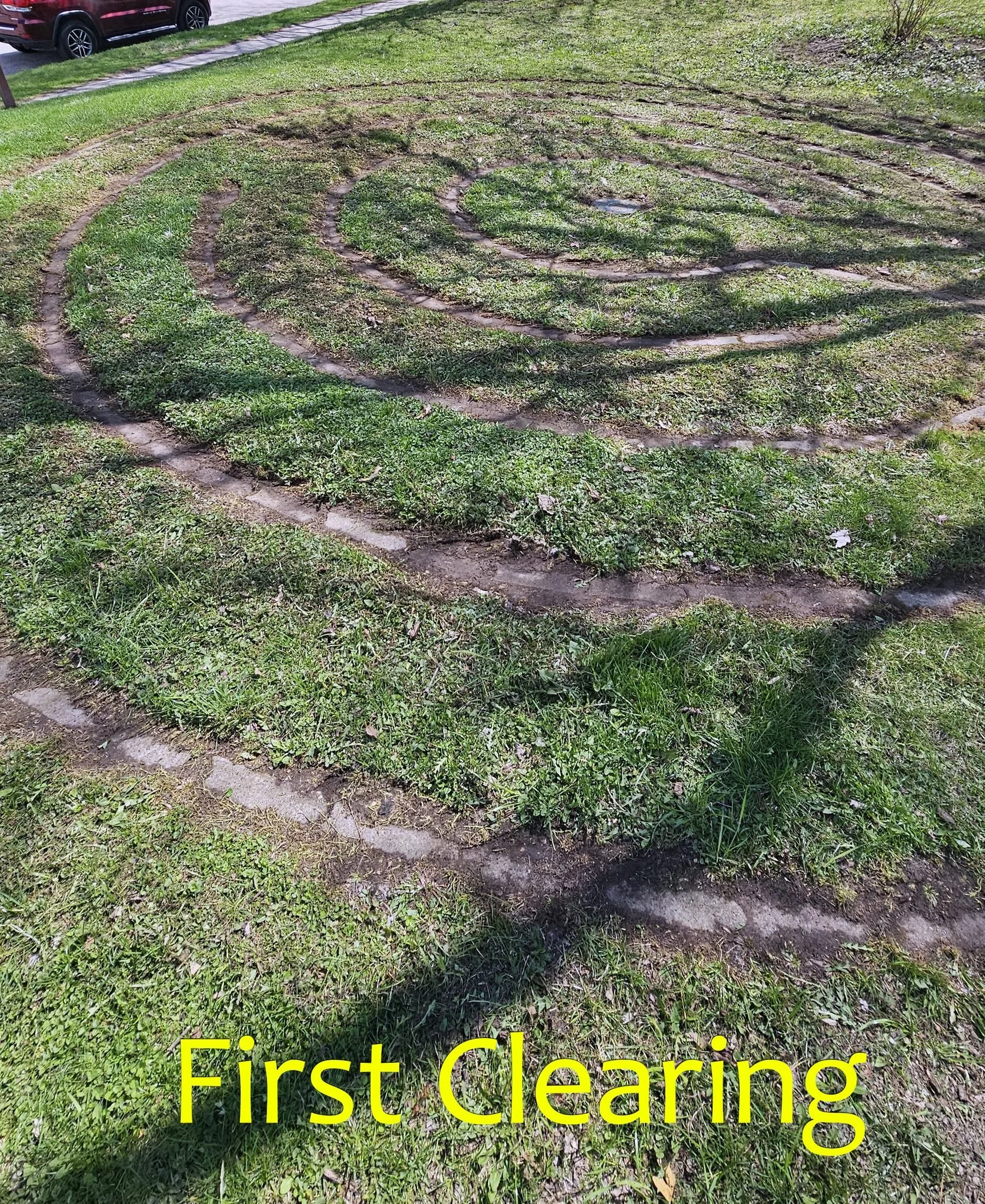 FirstClearing.jpg