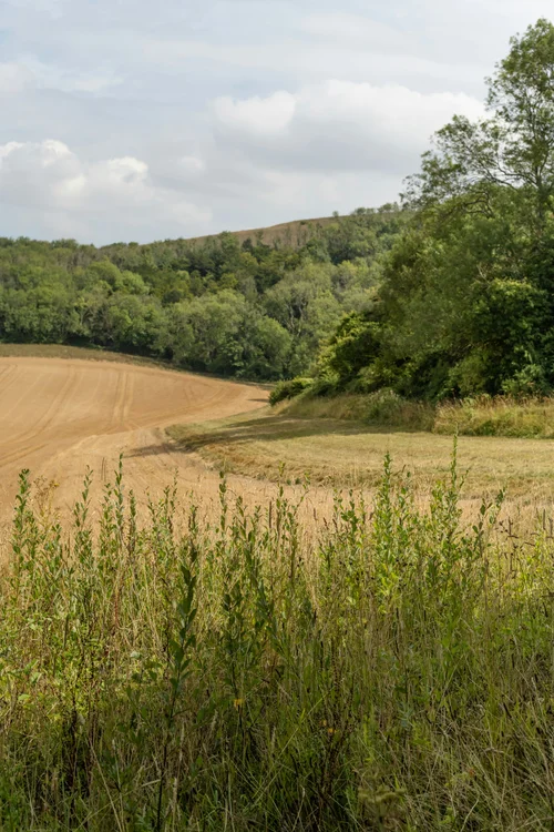 General 2 — The Episcopal Diocese of Wisconsin