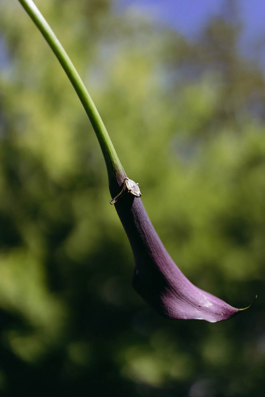 MBP_0126.JPG