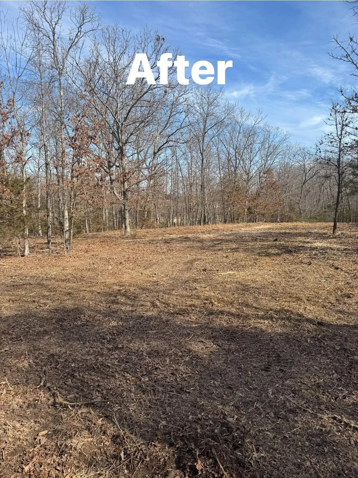A cleared patch of land with brown dirt and scattered leaves, bordered by leafless trees under a blue sky with some wispy clouds. The word 'After' is written in white text across the top of the image.