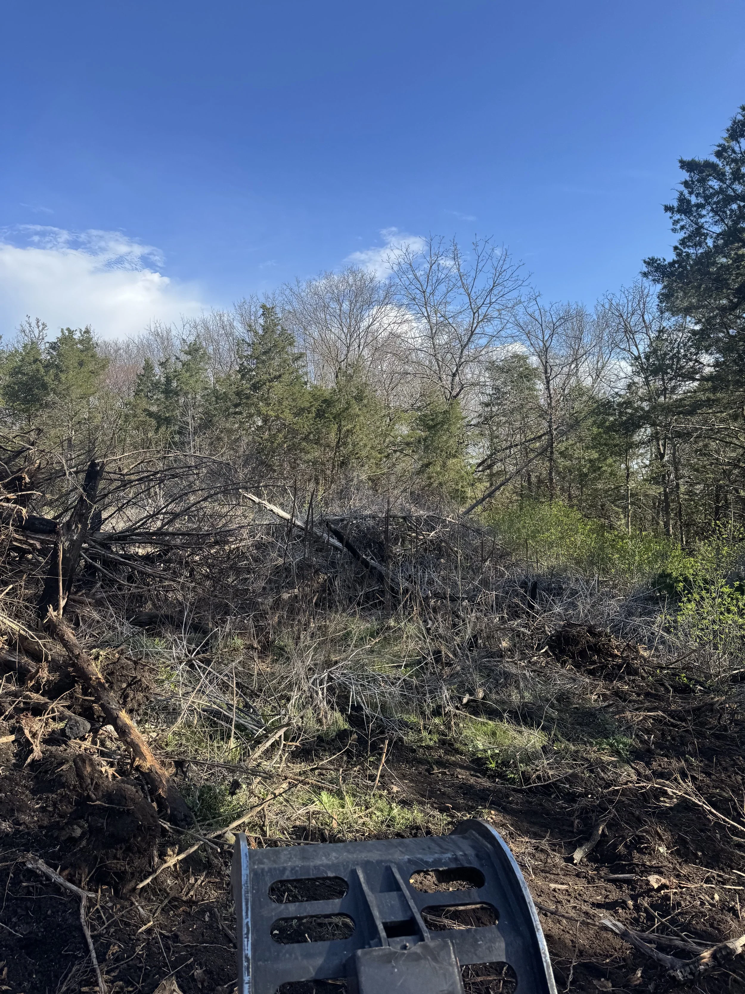View of a clear blue sky with some scattered clouds and a line of leafless trees and evergreen trees in the background, with a black object, possibly a piece of equipment, in the foreground on the dirt ground.