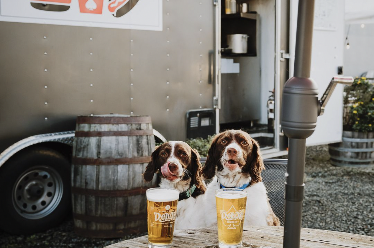 Two dogs sitting at an outdoor table with two glasses of beer, in front of the Deluxe food truck with a wooden barrel and potted plants nearby.