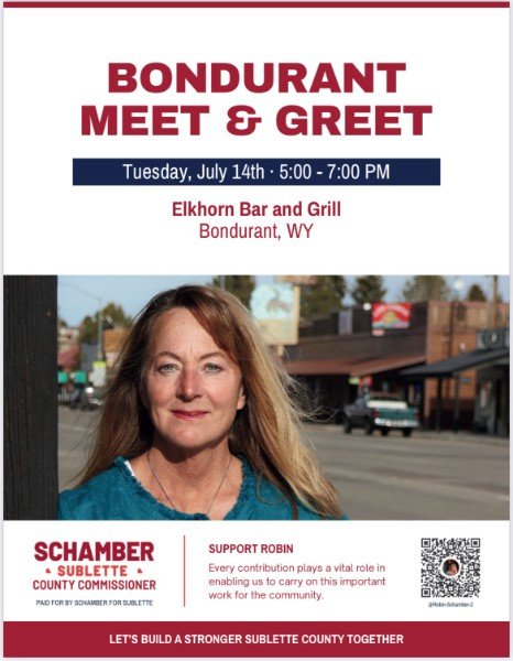 Meet a candidate-  Robin Schamber for County Commissioner