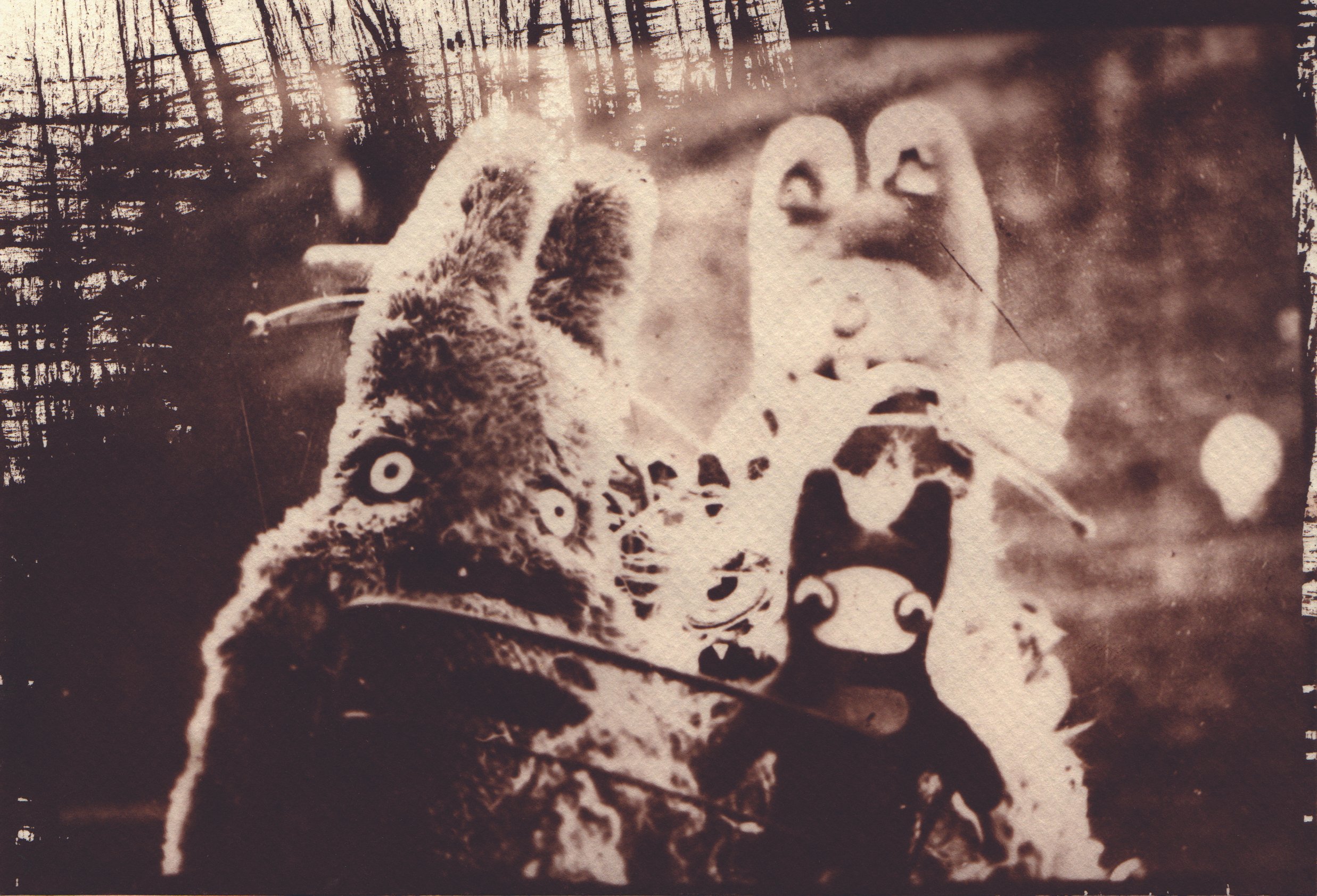 FOTOPAULA1.jpg