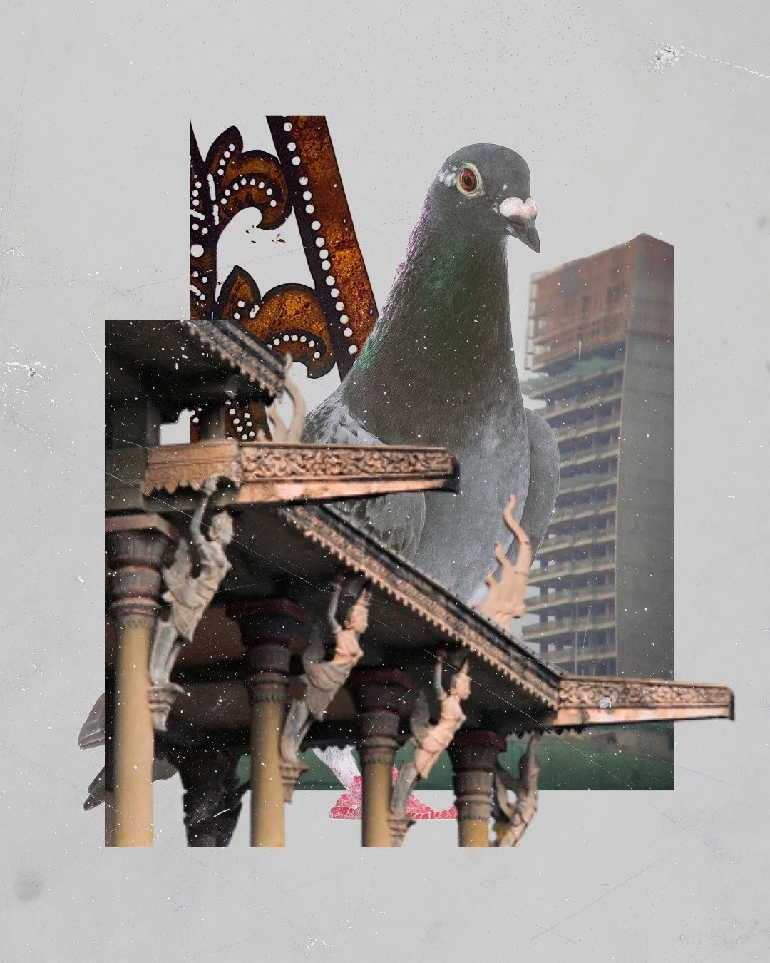 PIGEON
Day 19 for @februllage

Totally a different look from previous collages, but I guess nice for these random old photos see the light again

#februllage2026 #collageaday #architectureart #pigeonpose