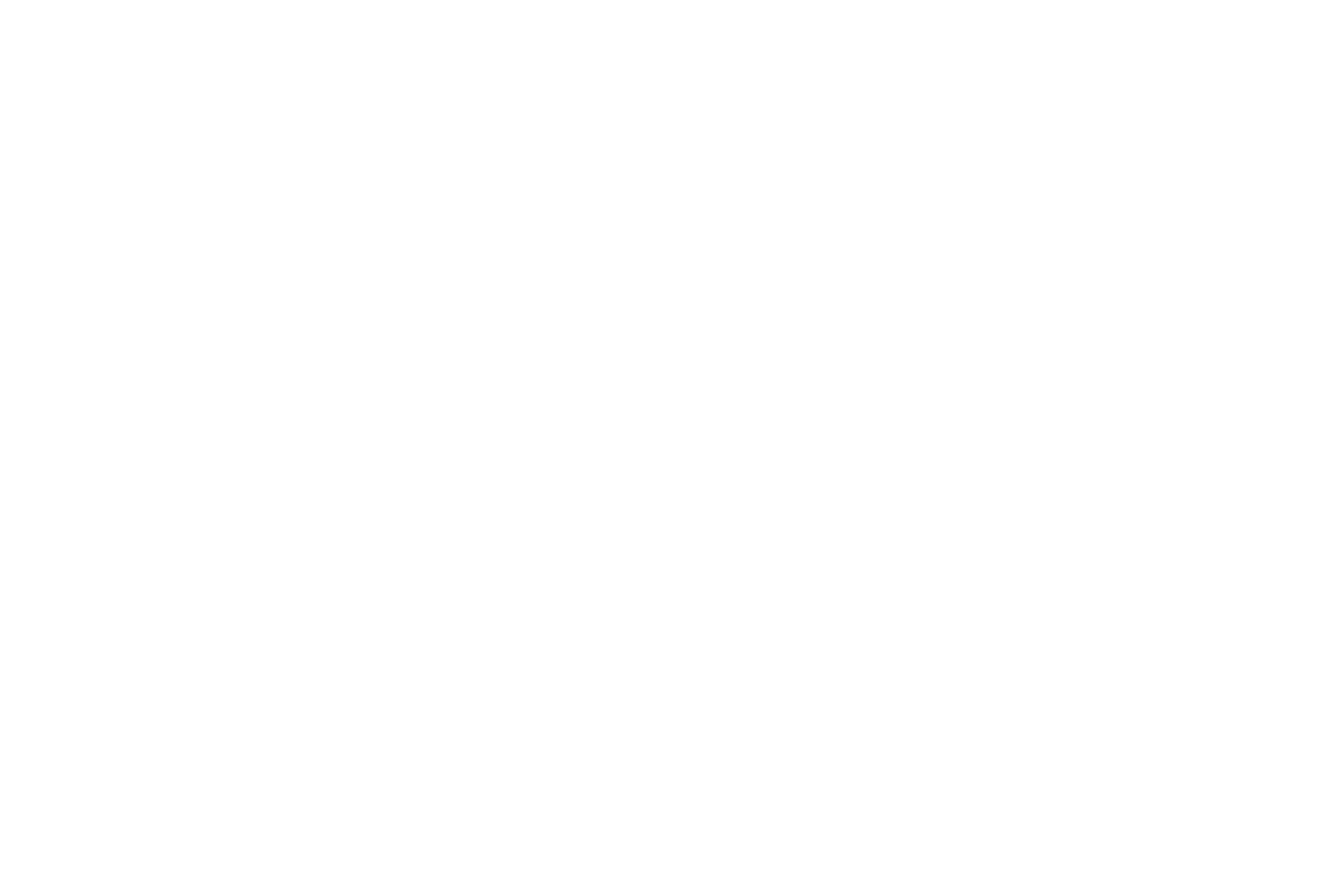 Line drawing of a washing machine with circular door and four legs.