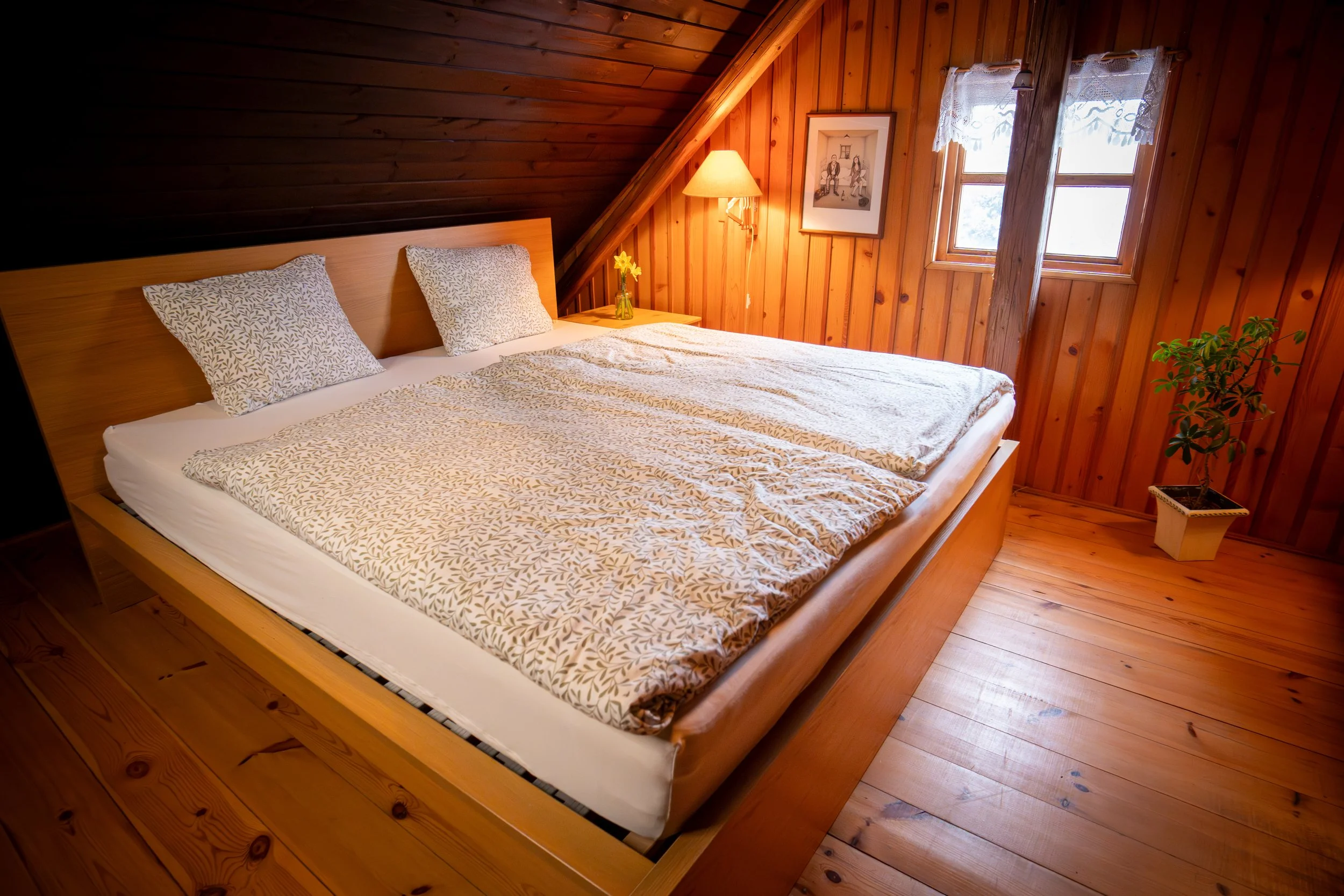 20260131_PodJednouStrechou-104.jpg