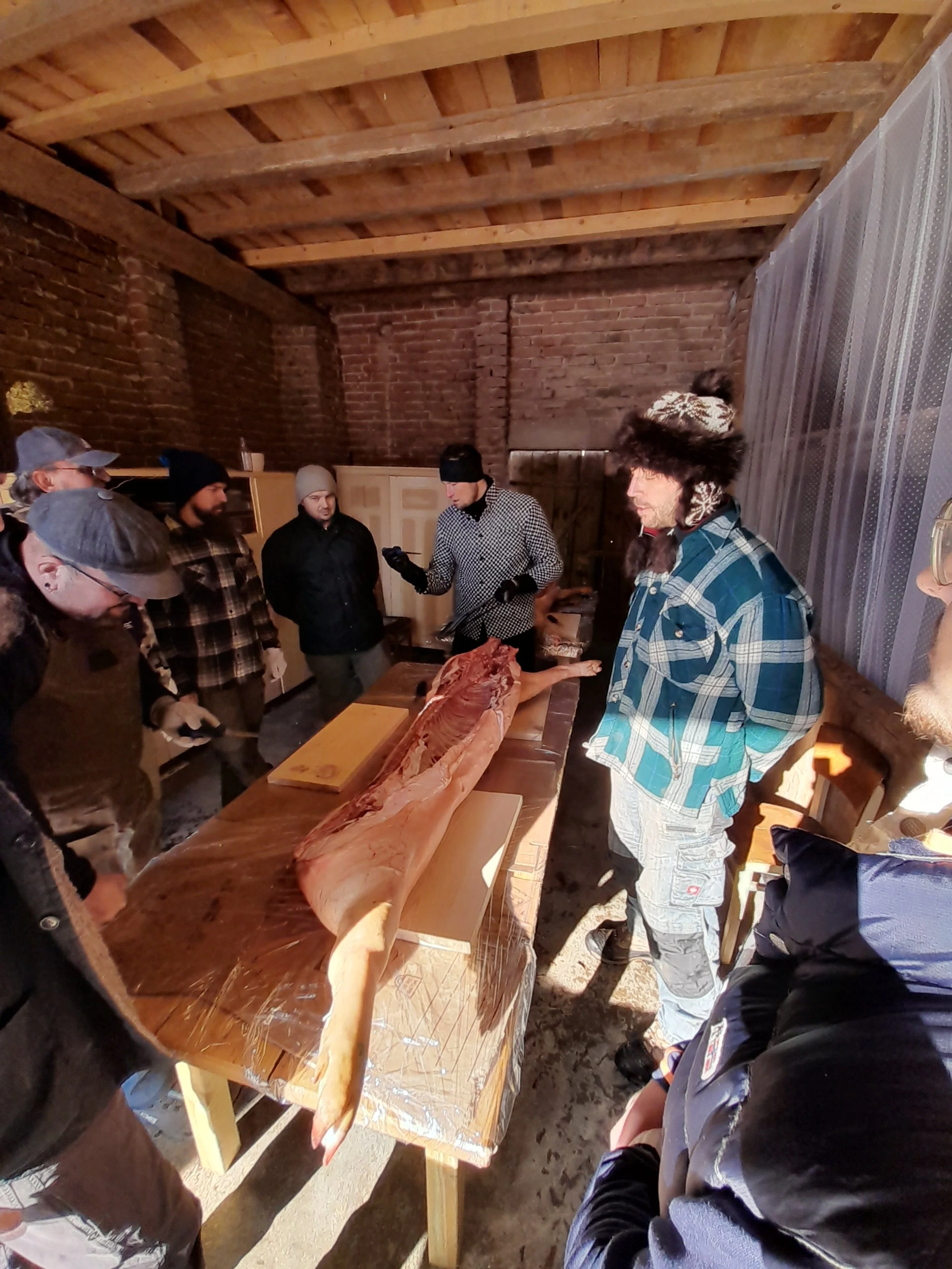 20250222_102906 2.JPG