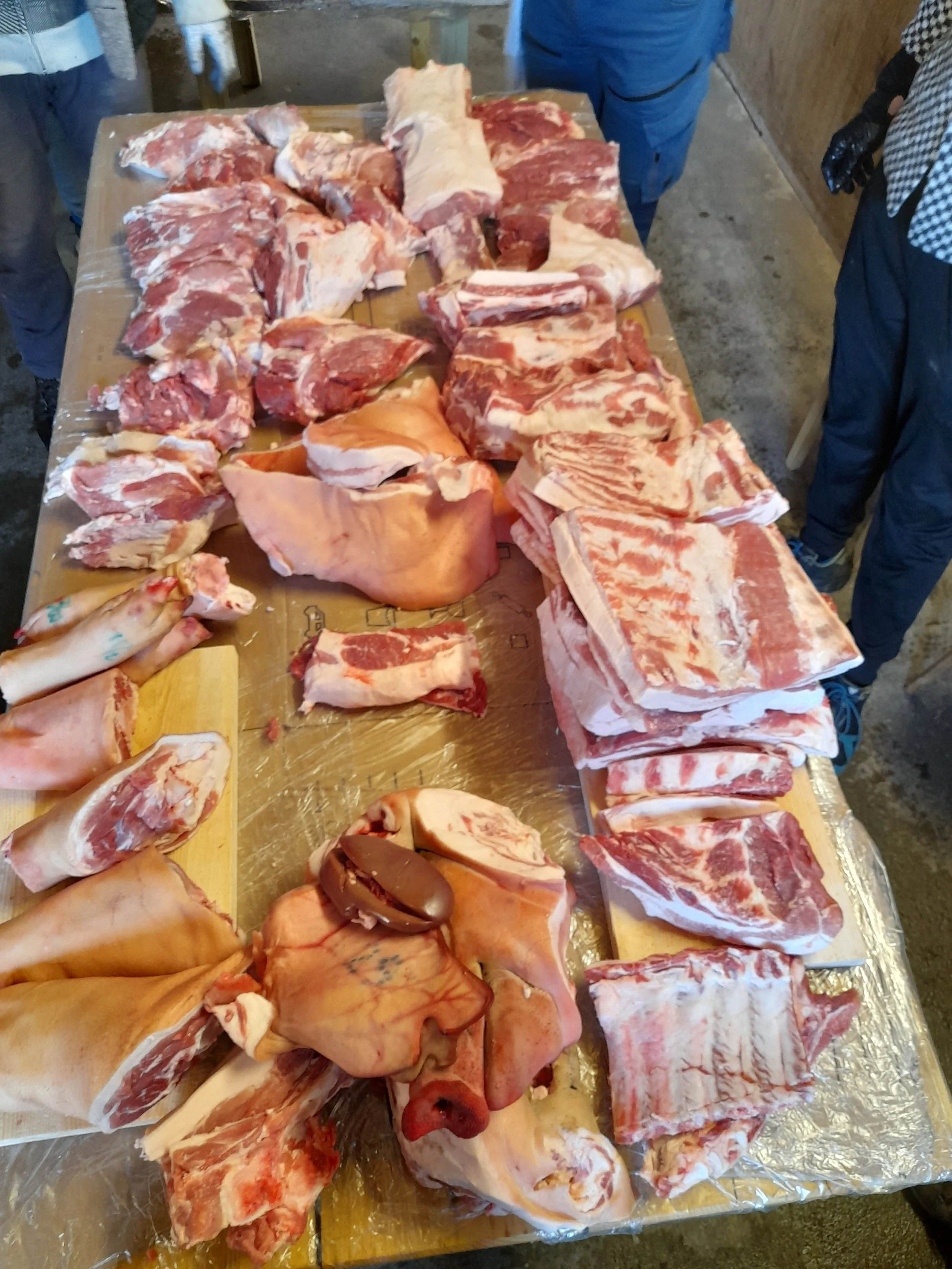 20250222_151759 2.JPG