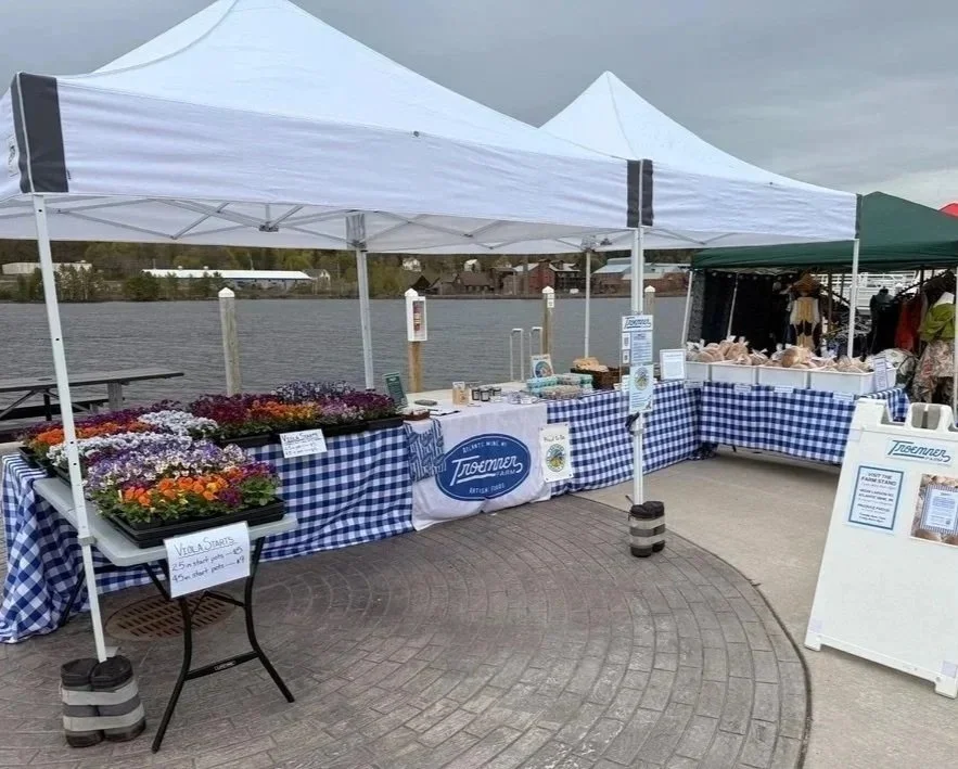 Market booth with flower starts and baked goods set up under white and tents on the City of Houghton Pier near the Portage Canal.