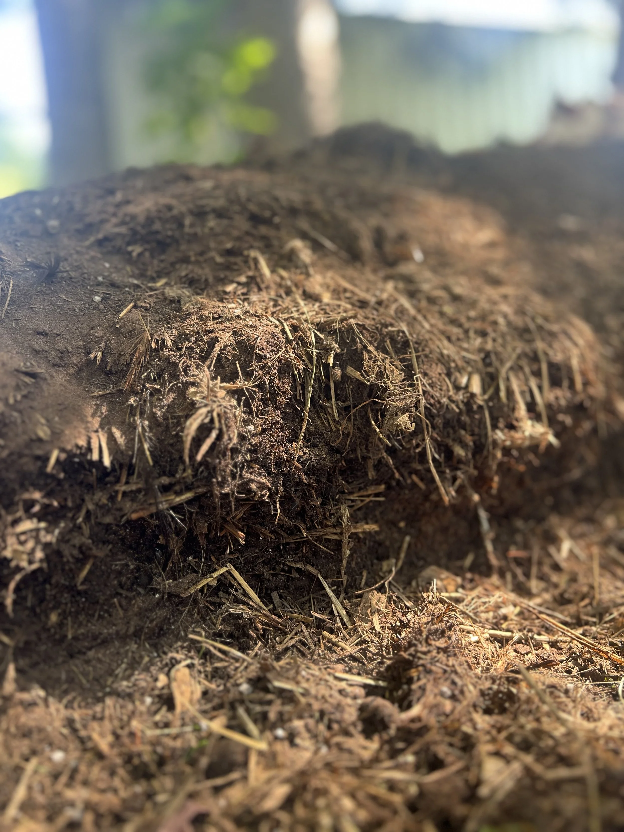 Community Compost Program