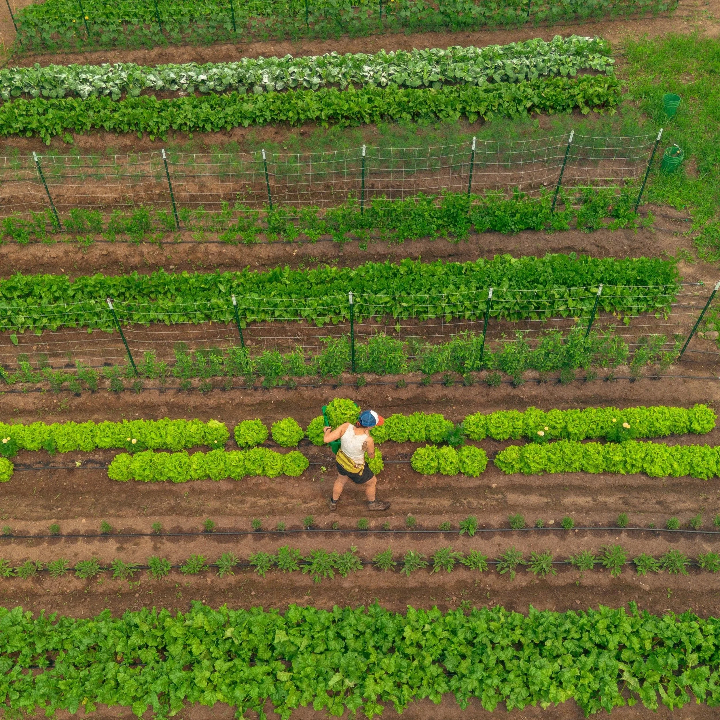 DJI_0262.jpg