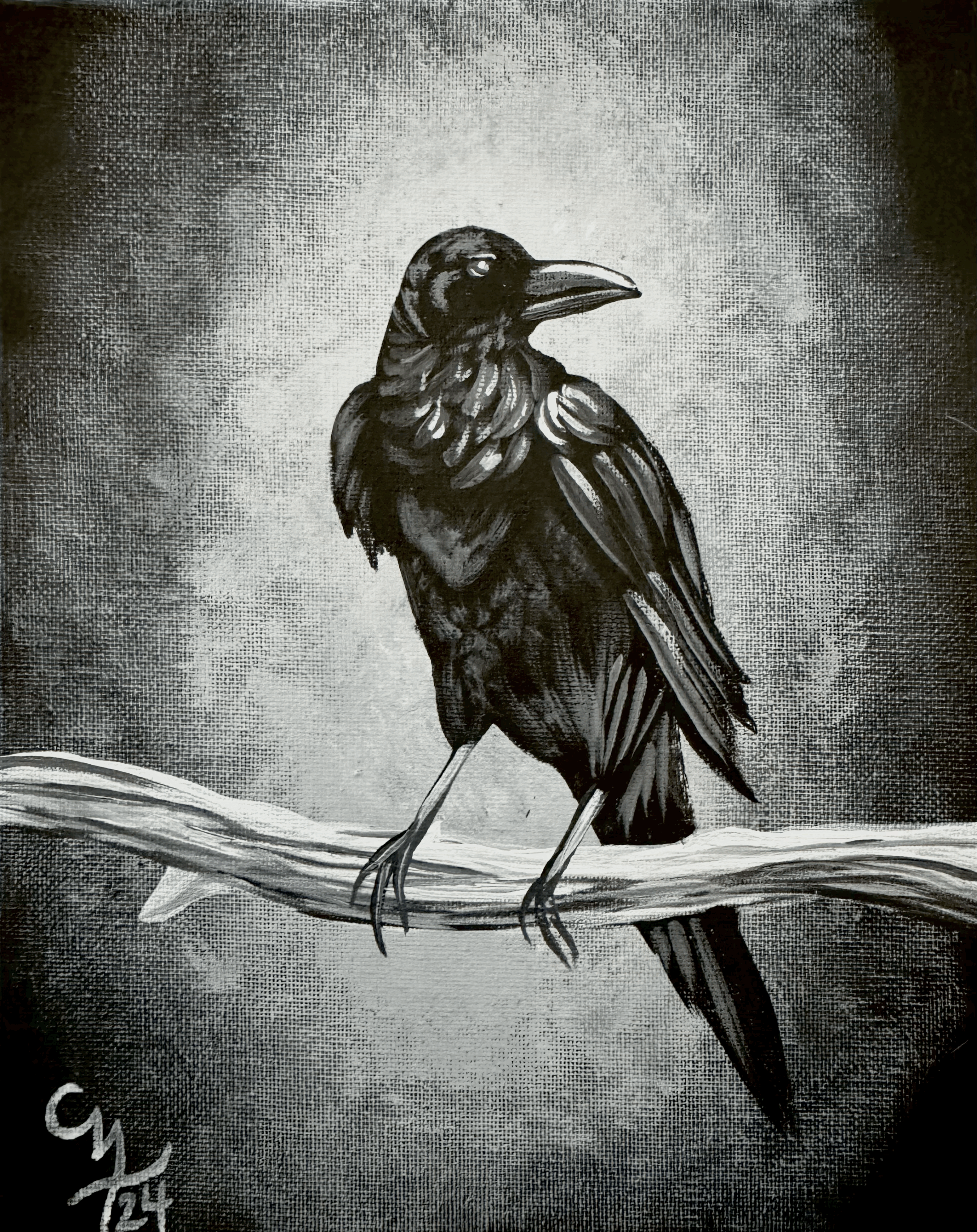 Raven